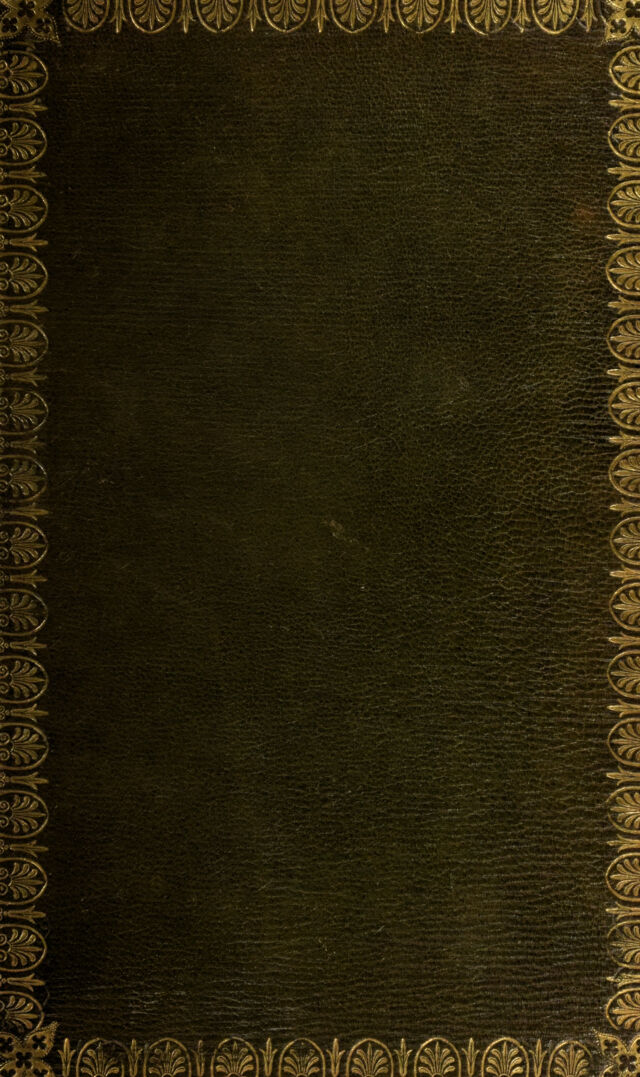 No text description is available for this image