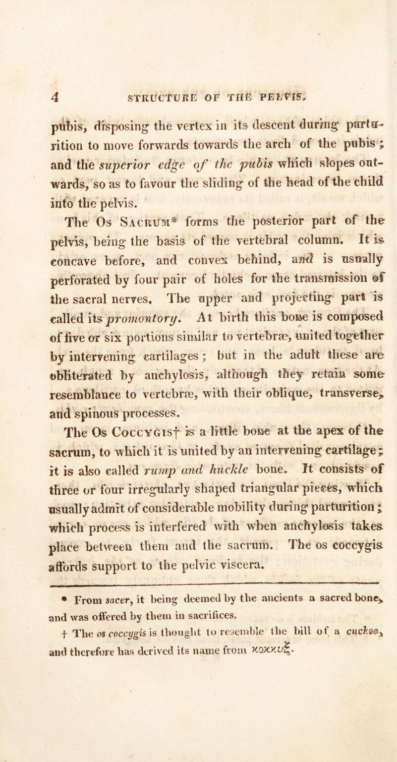 pubis, disposing the vertex in its descent during partu- rition to move forwards towards the arch of the pubis ; and the superior edge of ihe pubis which slopes out- wards, so as to favour the sliding of the head of the child into the pelvis. The Os Sacrum* forms the posterior part of the pelvis, being the basis of the vertebral column. It is concave before, and convex behind, and is usually perforated by four pair of holes for the transmission of the sacral nerves. The upper and projecting part is called itspromontory. At birth this bone is composed of five or six portions similar to vertebra?, united together by intervening cartilages ; but in the adult these are obliterated by anchylosis, although they retain some resemblance to vertebrae, with their oblique, transverse* and spinous processes. The Os CoccYGisf is a little boiae at the apex of the sacrum, to which it is united by an intervening cartilage; it is also called rump and buckle bone. It consists of three or four irregularly shaped triangular pieces, which usually admit of considerable mobility during parturition ; which process is interfered with when anchylosis takes place between them and the sacrum. The os coccygis affords support to the pelvic viscera. * From sacer, it being deemed by the ancients a sacred bone* and was offered by them in sacrifices. + The os coccygis is thought to resemble the bill of a cuchm^ and therefore has derived its name from Koxxoi'.