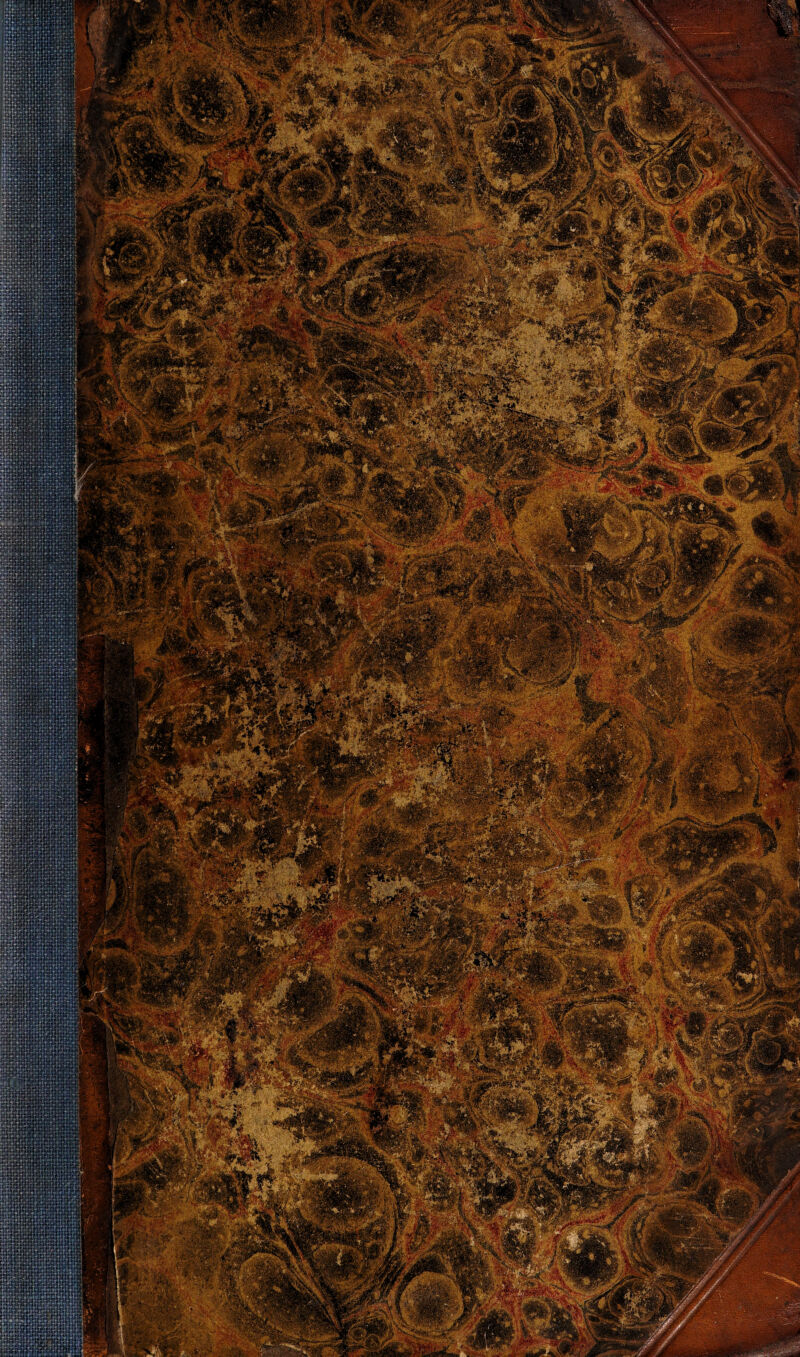 Agj&tof* ?£.■ •:• %£& E .J&- g?'--* lKTy^ Rn^v > :*.~ y ^'i>^^fe't;|;'v^v Mp'/V: . 'JttBgSffii1?: '■'*