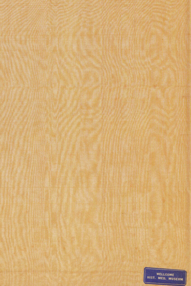 digitised image 2