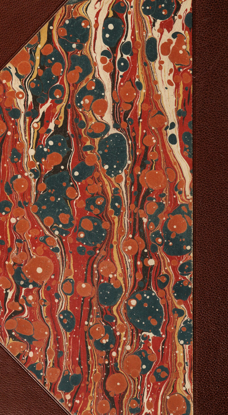 à - \ \y  |mpj m ' Sr Jl MKtlÊ f H)ttÉnr!