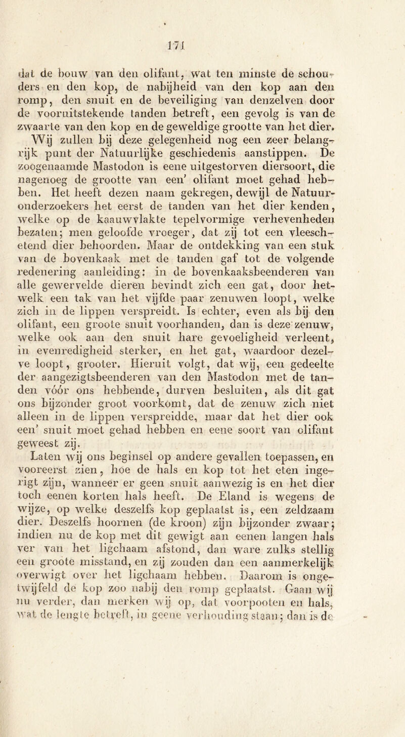 dat de bouw van den olifant, wat ten minste de schou- ders en den kop, de nabijheid van den kop aan den romp, den snuit en de beveiliging van denzelven door de vooruitstekende tanden betreft, een gevolg is van de zwaarte van den kop en de geweldige grootte van het dier. Wij zullen bij deze gelegenheid nog een zeer belang- rijk punt der Natuurlijke geschiedenis aanstippen. De zoogenaamde Mastodon is eene uitgestorven diersoort, die nagenoeg de grootte van een’ olifant moet gehad heb- ben. Het heeft dezen naaiii gekregen, dewijl de Natuur» onderzoekers het eerst de tanden van het dier kenden, welke op de kaan w vlakte tepel vormige verhevenheden bezaten; men geloofde vroeger, dat zij tot een vleesch- etend dier behoorden. Maar de ontdekking van een stuk van de bovenkaak met de tanden gaf tot de volgende redenering aanleiding: in de bovenkaaksbeenderen van alle gewervelde dieren bevindt zich een gat, door het- welk een tak van het vijfde paar zenuwen loopt, welke zich in de lippen verspreidt. ïs echter, even als bij den olifant, een groote snuit voorhanden, dan is deze zenuw, welke ook aan den snuit hare gevoeligheid verleent, in evenredigheid sterker, en het gat, waardoor dezel- ve loopt, grooter. Hieruit volgt, dat wij, een gedeelte der aangezigtsbeenderen van den Mastodon met de tan- den vóór ons hebbende, durven besluiten, als dit gat ons bijzonder groot voorkomt, dat de zenuw zich niet alleen in de lippen verspreidde, maar dat het dier ook een’ snuit moet gehad hebben en eene soort van olifant geweest zij. Laten wij ons beginsel op andere gevallen toepassen, en vooreerst zien, hoe de hals en kop tot het eten inge- rigt zijn, wanneer er geen snuit aanwezig is en het dier toch eenen korten hals heeft. De Eland is wegens de wijze, op welke deszelfs kop geplaatst is, een zeldzaam dier. Deszelfs hoornen (de kroon) zijn bijzonder zwaar; indien nu de kop met dit gewigt aan eenen langen hals ver van het ligchaam afstond, dan vvare zulks stellig een groote misstand, en zij zouden dan een aanmerkelijk overwigt over het ligchaam hebben. Daarom is onge- twijfeld de kop zoo nabij den romp geplaatst. Gaan wij nu verder, dan merken wij op, dat voorpooten en bals, wat de lengte betreft, in geeue verhouding staan; dan is de