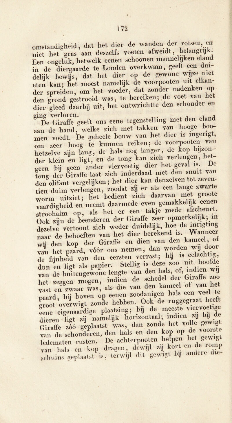 omstandigheid, dat hel dier de wanden der rotsen, en niet het gras aan deszelfs voeten afweidt, beiangiij * Een ongeluk, hetwelk eenen schoonen mannelijken eland in de diergaarde te Londen óverkwam, geeft een dui- delijk bewijs, dat het dier op de gewone wijze met eten kan; het moest namelijk de voorpooten uit elkan- der spreiden, om het voeder, dat zonder nadenken op den grond gestrooid was, te bereiken; de voet van he dier gleed daarbij uit, bet ontwrichtte den schouder en eins verloren. 1 i j De Giraffe geeft ons eene tegenstelling met den eland aan de hand, welke zich met takken van hooge hoo- rnen voedt. De geheele bouw van het dier is ïngengt, om zeer hoog te kunnen reiken; de voorpooten van hetzelve zijn lang, de hals nog langer, de kop bijzon der klein en ligt, en de tong kan zich verlengen, het- geen bij geen ander viervoetig dier het geval is. D tong der Giraffe laat zich inderdaad met den snuit van den olifant vergelijken; het dier kan denzelven tot zeven- tien duim verlengen, zoodat zij er als een lange zwarte worm uitziet; het bedient zich daarvan met groote vaardigheid en neemt daarmede even gemakkelijk eenen stroohalm op, als het er een takje mede afscheuit. Ook zijn de beenderen der Giraffe zeer opmerkelijk, in dezelve vertoont zich weder duidelijk, hoe de ïnrigtmg naar de behoeften van het dier berekend is. Wanneei wij den kop der Giraffe en dien van den kameel , o van het paard, vóór ons nemen, dan worden wij! door de fijnheid van den eersten verrast; hij is “tochtig, dun en ligt als papier. Stellig is deze zoo uit hoofde van de buitengewone lengte van den hals, of, mdien wij het zeggen mogen, indien de schedel der Giraffe zoo het, gg “ * ’ ais die van den kameel of van het palrde'1hü bovrn óp eenen zoodanigen hals een veel te «root 'overwigt zoude hebben. Ook de ruggegraat heeft ^ene eigenaardige plaatsing; bij de meeste viervoetige dieren ligt zij namelijk horizontaal, indien zg J Giraffe zóó geplaatst was, dan zoude het volle gew g van de schouderen, den hals en den kop op de voors e ledematen rusten. De achterpooten helpen e g gp van hals en kop dragen, dewijl zij koit en de o J schuins geplaatst is, terwijl dit, gewigt bij and