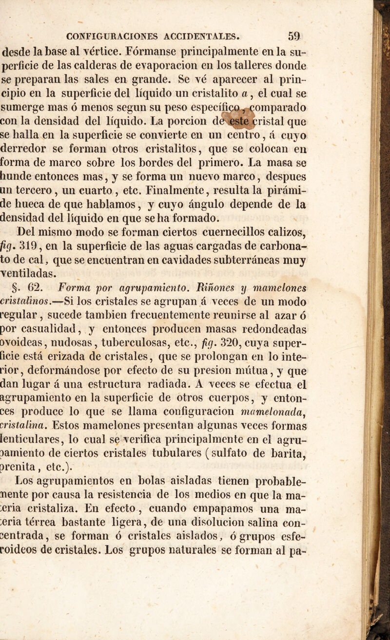 desde la base al vértice. Fórmanse principalmente en la su- perficie de las calderas de evaporación en los talleres donde se preparan las sales en grande. Se vé aparecer al prin- cipio en la superficie del líquido un cristalito a, el cual se sumerge mas ó menos según su peso específico^omparado con la densidad del líquido. La porción de este pristal que se halla en la superficie se convierte en un centro, á cuyo derredor se forman otros cristalitos, que se colocan en forma de marco sobre los bordes del primero. La masa se hunde entonces mas, y se forma un nuevo marco, después tm tercero, un cuarto, etc. Finalmente, resulta la pirámi- de hueca de que hablamos, y cuyo ángulo depende de la densidad del líquido en que se ha formado. Del mismo modo se forman ciertos cuernecillos calizos, fig. 319, en la superficie de las aguas cargadas de carbona- to de cal, que se encuentran en cavidades subterráneas muy ventiladas. §. 62. Forma por agrupamiento. Riñones y mamelones cristalinos.—Si los cristales se agrupan á veces de un modo regular, sucede también frecuentemente reunirse al azar ó por casualidad, y entonces producen masas redondeadas ovoideas, nudosas, tuberculosas, etc., fig. 320, cuya super- ficie está erizada de cristales, que se prolongan en lo inte- rior, deformándose por efecto de su presión mutua, y que dan lugar á una estructura radiada. A veces se efectúa el agrupamiento en la superficie de otros cuerpos, y enton- ces produce lo que se llama configuración mamelonada, cristalina. Estos mamelones presentan algunas veces formas lenticulares, lo cual se verifica principalmente en el agra- vamiento de ciertos cristales tubulares (sulfato de barita, prenita, etc.). Los agrupamientos en bolas aisladas tienen probable- nente por causa la resistencia de los medios en que la ma- teria cristaliza. En efecto, cuando empapamos una ma- :eria térrea bastante ligera, de una disolución salina con- centrada, se forman ó cristales aislados, ó grupos esfe- roideos de cristales. Los grupos naturales se forman al pa-