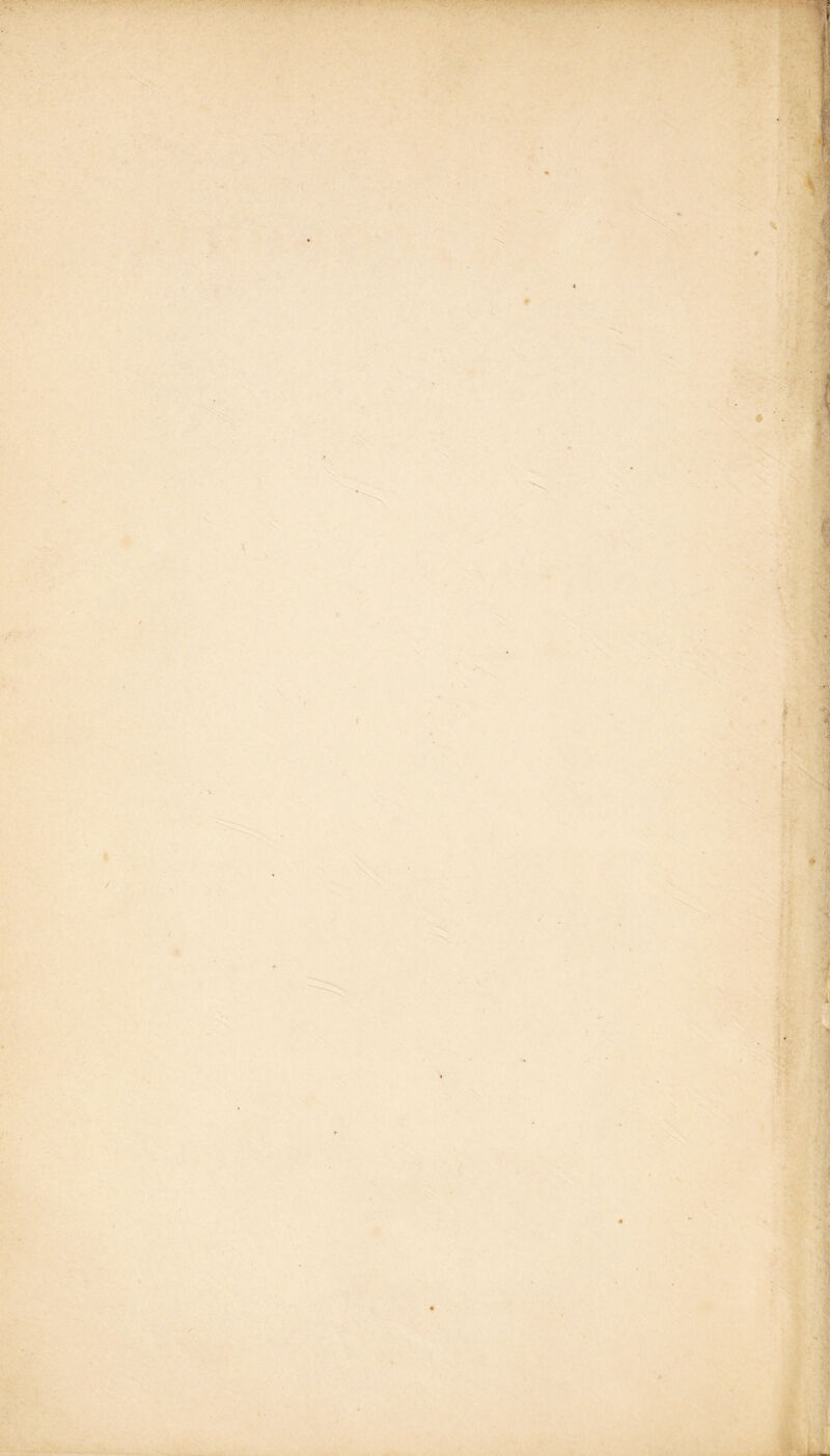 - . p ./y. -. ; ■ I .V '*4 :V '• * •^V> . • i\ V • ■ \ ‘ ■.'. -J =.J