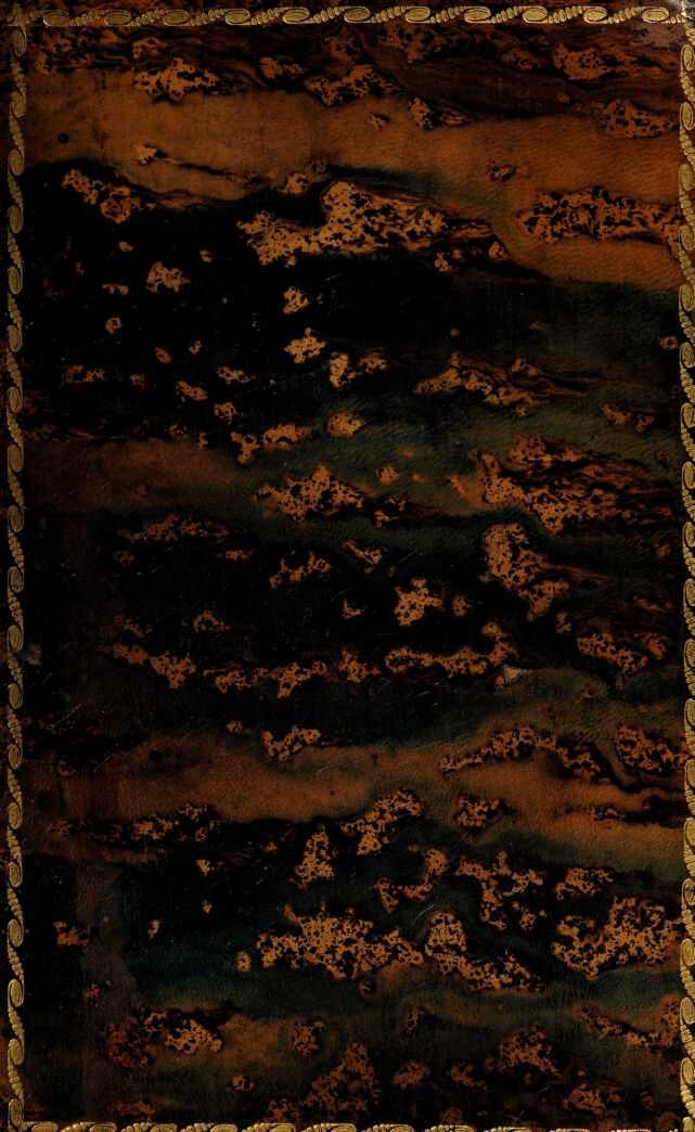 digitised image 1