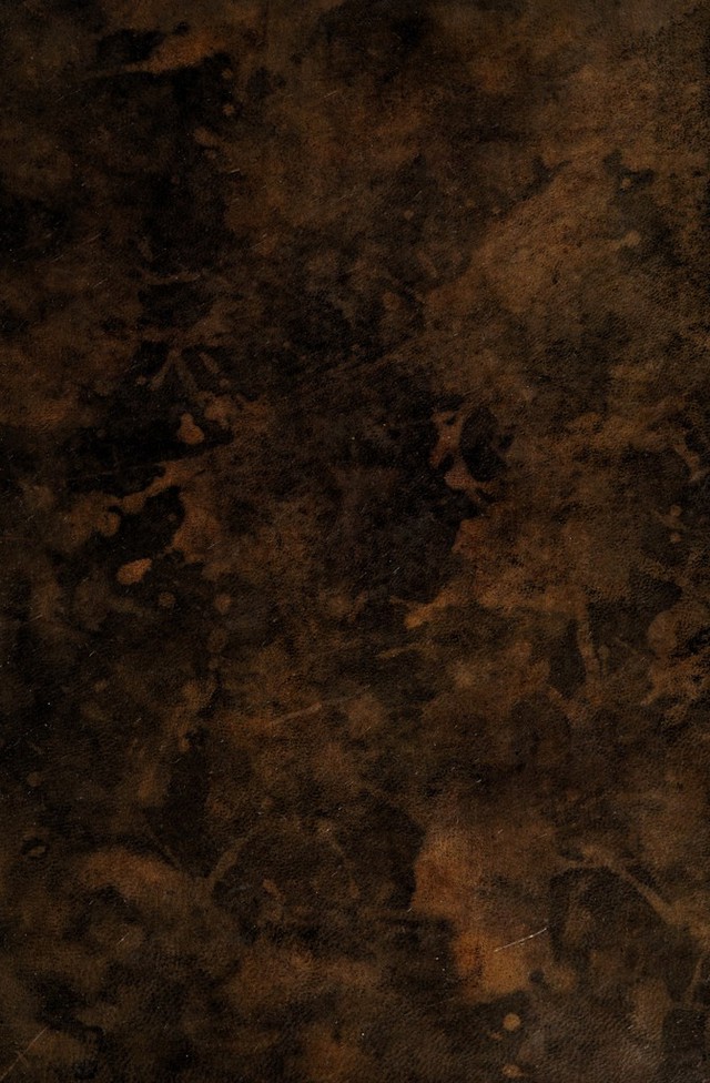 No text description is available for this image