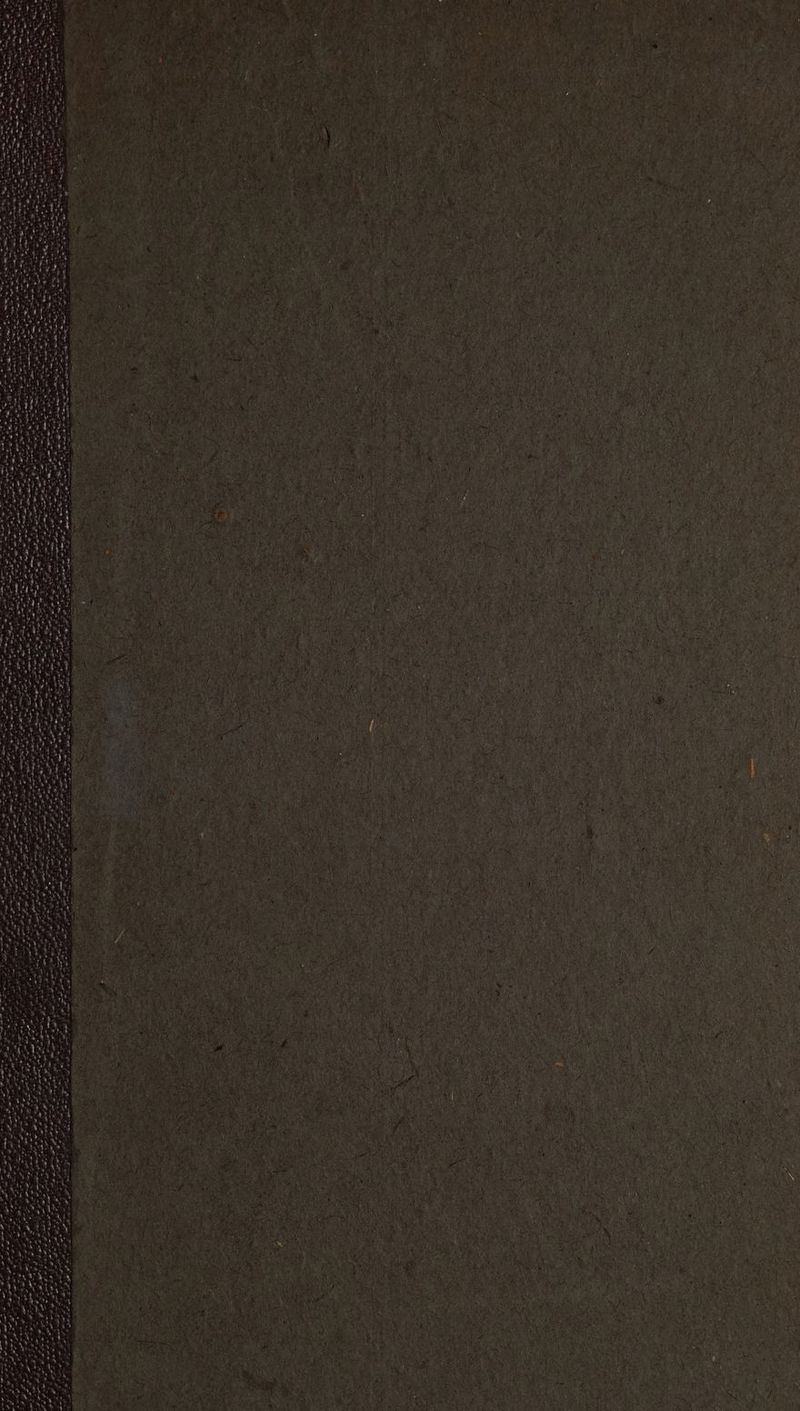 n) rat a ci 13, Peer, E nraslai rd i ME mera na) Y, eee --