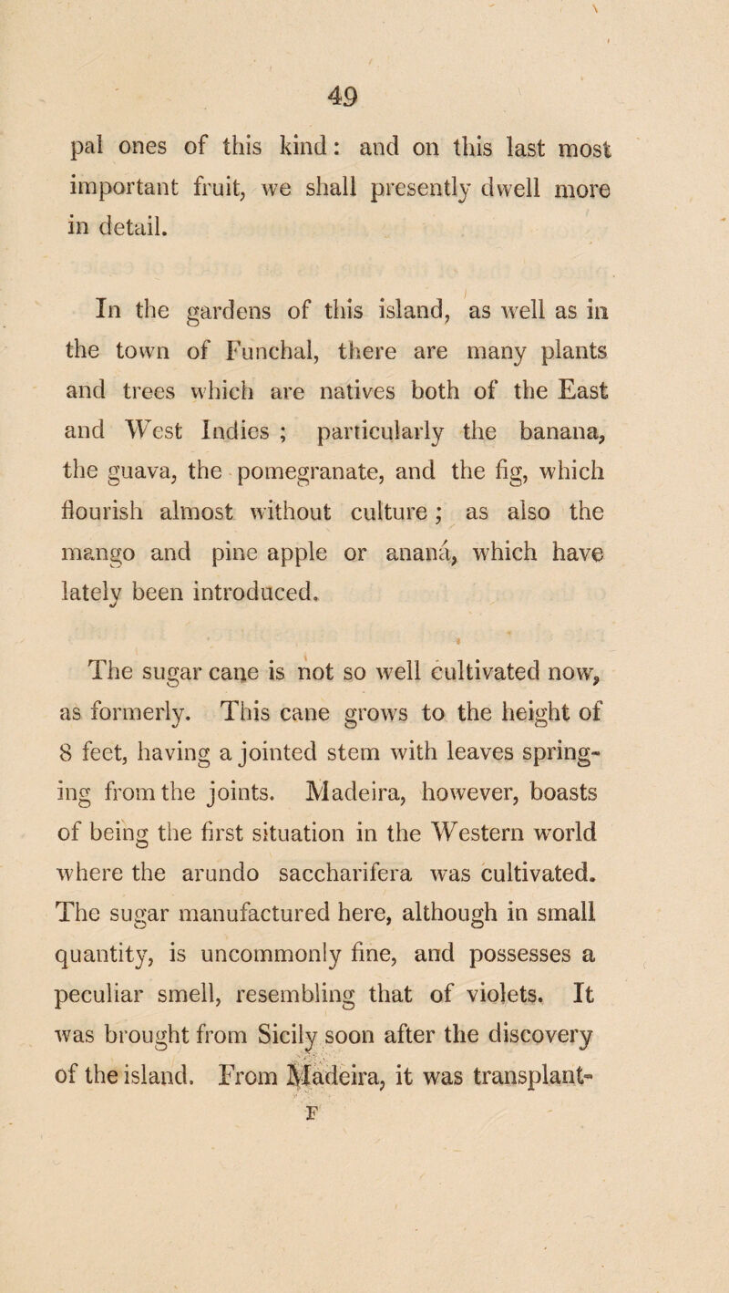 pal ones of this kind: and on this last most important fruit, we shall presently dwell more in detail. In the gardens of this island, as well as in the town of Funchal, there are many plants and trees which are natives both of the East and West indies ; particularly the banana, the guava, the pomegranate, and the fig, which flourish almost without culture; as also the mango and pine apple or anana, which have lately been introduced. The sugar cane is not so w^ell cultivated now, as formerly. This cane grows to the height of 8 feet, having a jointed stem with leaves spring¬ ing from the joints. Madeira, however, boasts of being the first situation in the Western w’orld where the arundo saccharifera was cultivated. The sugar manufactured here, although in small quantity, is uncommonly fine, and possesses a peculiar smell, resembling that of violets. It was brought from Sicily soon after the discovery ' i* \ of the island. From Madeira, it was transplant- F