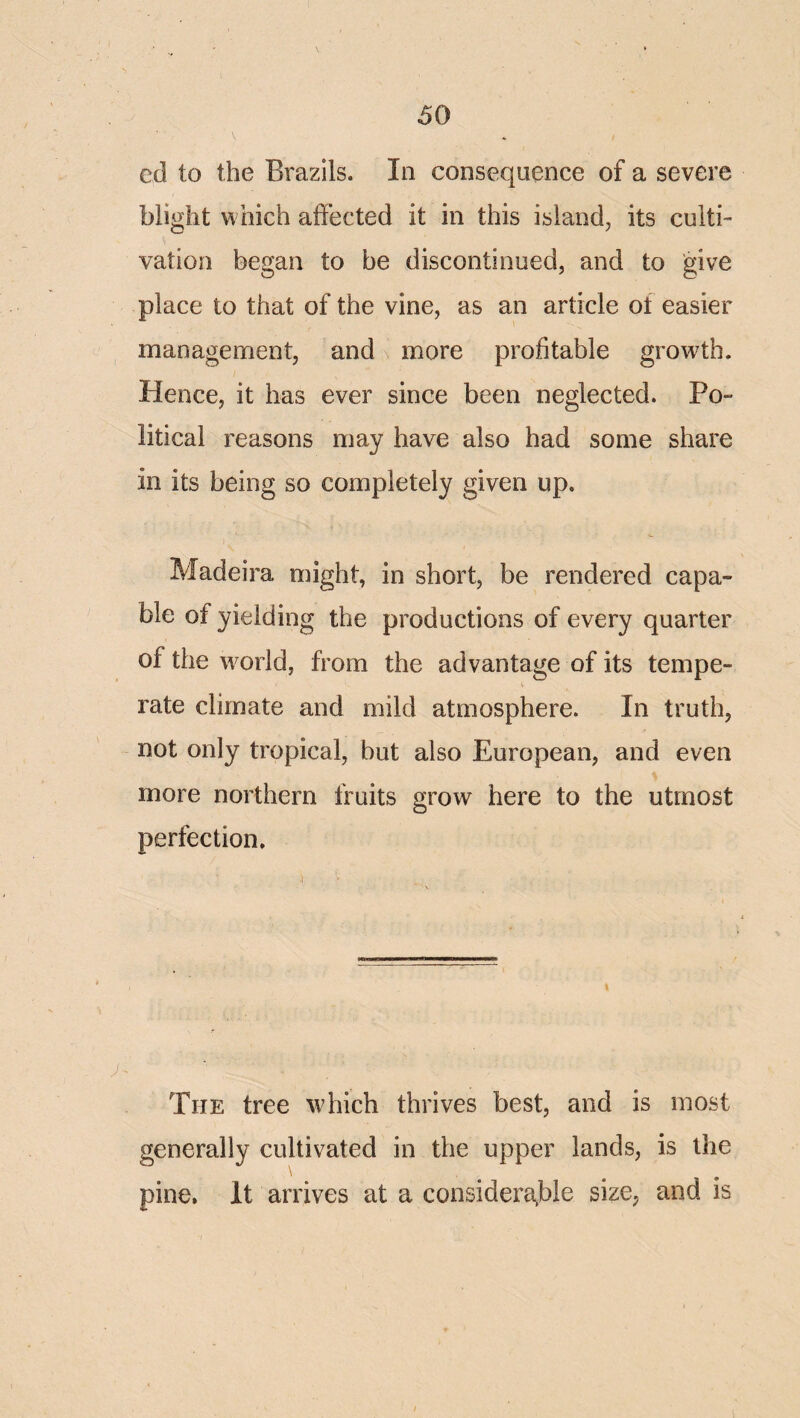 ed to the Brazils. In consequence of a severe blight which affected it in this island, its culti¬ vation began to be discontinued, and to give place to that of the vine, as an article of easier management, and \ more profitable growth. Hence, it has ever since been neglected. Po¬ litical reasons may have also had some share in its being so completely given up. Madeira might, in short, be rendered capa¬ ble of yielding the productions of every quarter of the world, from the advantage of its tempe¬ rate climate and mild atmosphere. In truth, not only tropical, but also European, and even more northern fruits grow here to the utmost perfection. The tree wdiich thrives best, and is most generally cultivated in the upper lands, is the pine. It arrives at a considerctble size, and is