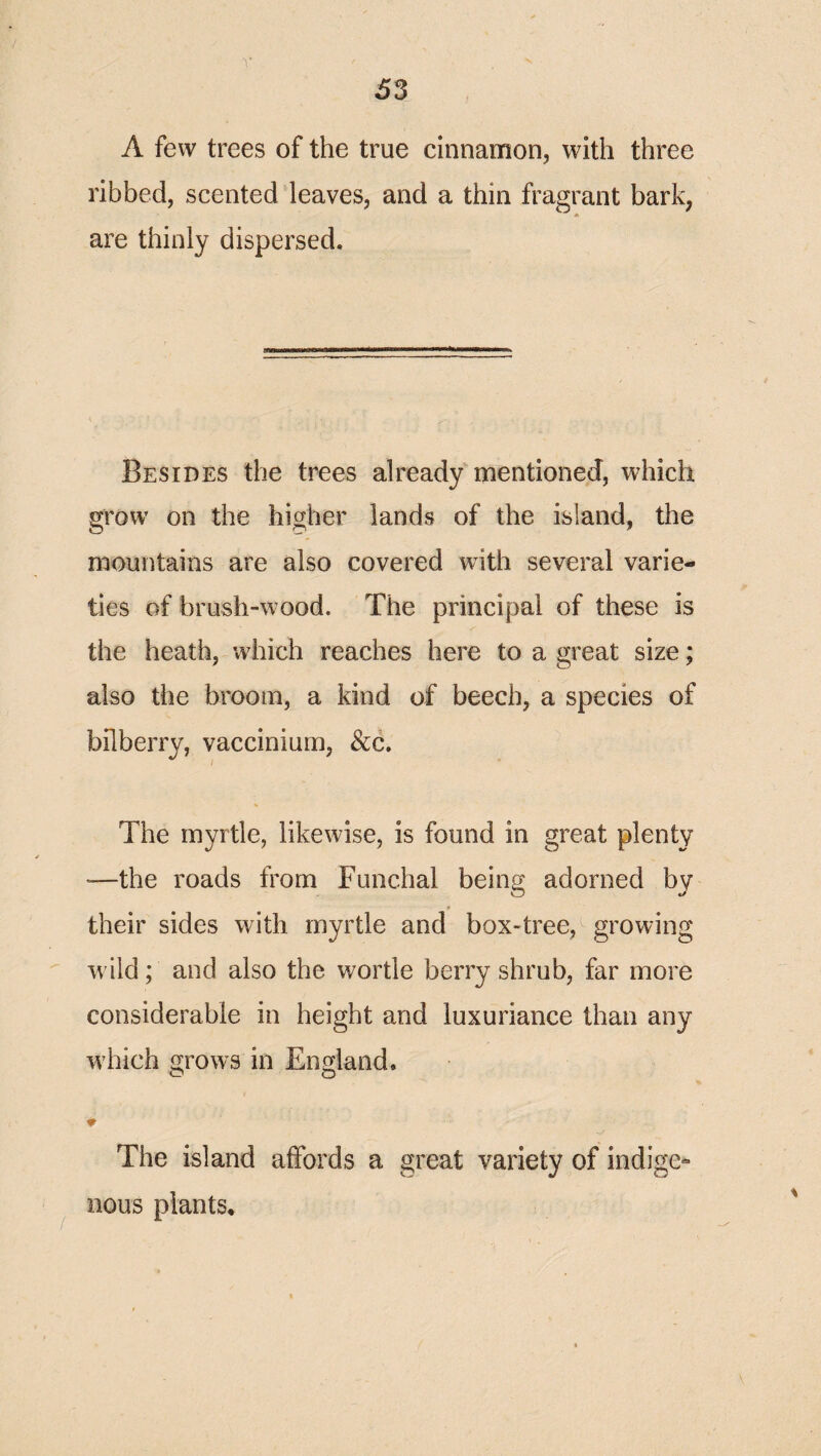 A few trees of the true cinnamon, with three ribbed, scented leaves, and a thin fragrant bark, are thinly dispersed. Besides the trees already mentioned, which grow on the higher lands of the island, the mountains are also covered with several varie¬ ties of brush-wood. The principal of these is the heath, which reaches here to a great size; also the broom, a kind of beech, a species of bilberry, vaccinium, &c. The myrtle, likewise, is found in great plenty '—the roads from Funchal being adorned by their sides with myrtle and box-tree, growing w ild; and also the wortle berry shrub, far more considerable in height and luxuriance than any w'hich grows in England. • The island affords a great variety of indige* nous plants.