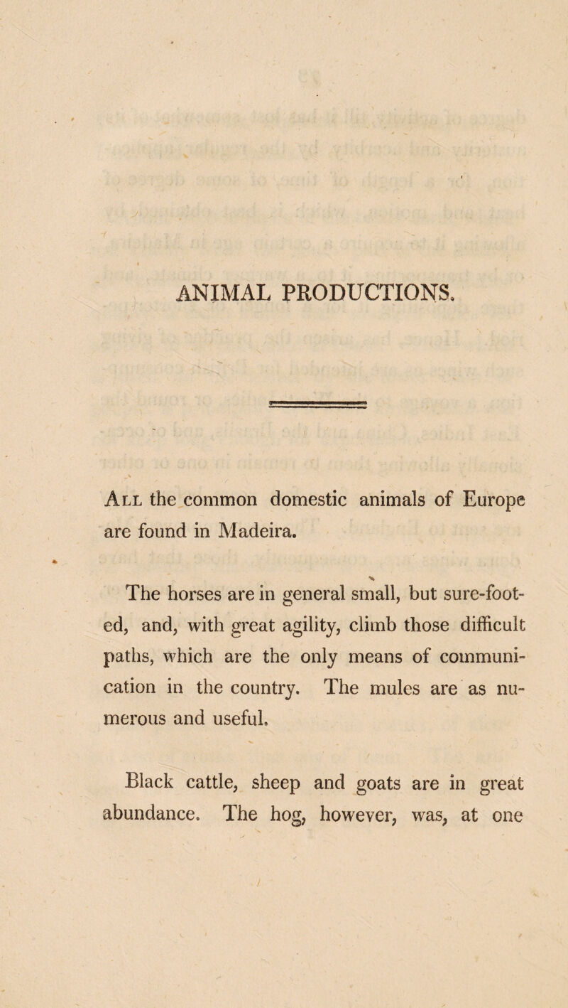 / y- , ANIMAL PRODUCTIONS. All the common domestic animals of Europe are found in Madeira. The horses are in general small, but sure-foot¬ ed, and, with great agility, climb those difficult paths, which are the only means of communi¬ cation in the country. The mules are as nu¬ merous and useful. Black cattle, sheep and goats are in great abundance. The hog, however, was, at one /