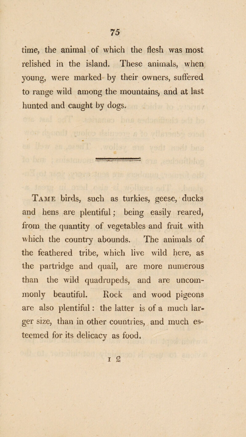 time, the animal of which the flesh was most relished in the island. These animals, when young, were marked by their owners, suffered to range wild among the mountains, and at last hunted and caught by dogs. Tame birds, such as turkies, geese, ducks and hens are plentiful; being easily reared, from the quantity of vegetables and fruit with which the country abounds. The animals of the feathered tribe, which live wild here, as the partridge and quail, are more numerous than the wild quadrupeds, and are uncom¬ monly beautiful. Rock and wood pigeons are also plentiful: the latter is of a much lar¬ ger size, than in other countries,,and much es¬ teemed for its delicacy as food, I S