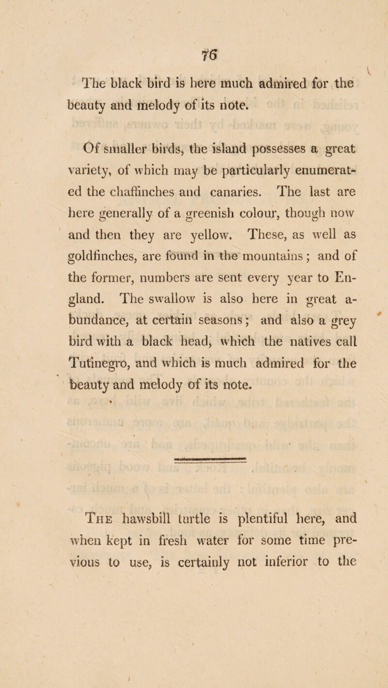 The black bird is here much admired for the beauty and melody of its note. Of smaller birds, the island possesses a great variety, of which may be particularly enumerat¬ ed the chaffinches and canaries. The last are here generally of a greenish colour, though now and then they are yellow. These, as well as goldfinches, are found in the mountains; and of the former, numbers are sent every year to En¬ gland. The swallow is also here in great a- bundance, at certain seasons; and also a grey ^ bird with a black head, which the natives call Tutinegro, and which is much admired for the beauty and melody of its note. A The hawsbill turtle is plentiful here, and when kept in fresh water for some time pre¬ vious to use, is certainly not inferior to the