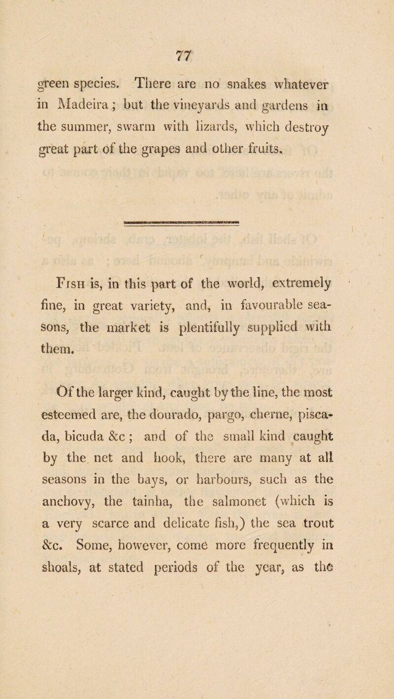 green species. There are no snakes whatever in ]\ladelra; bat the vineyards and gardens in the summer, swarm with lizards, which destroy great part of the grapes and other fruits. Fish is, in this part of the world, extremely fine, in great variety, and, in favourable sea¬ sons, the market is plentifully supplied with them. Of the larger kind, caught by the line, the most esteemed are, the dourado, pargo, clierne, pisca- da, bicuda &c ; and of the small kind caught by the net and hook, there are many at all seasons in the bays, or harbours, such as the anchovy, the tainha, the salmonet (which is a very scarce and delicate fish,) the sea trout &c. Some, however, come more frequently in shoals, at stated periods of the year, as th^