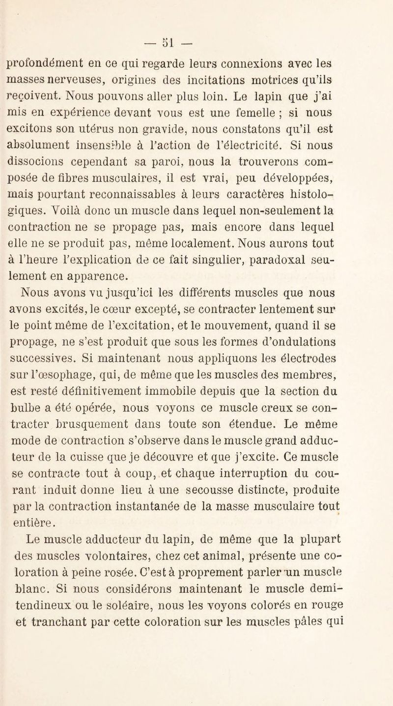 profondément en ce qui regarde leurs connexions avec les masses nerveuses, origines des incitations motrices qu’ils reçoivent. Nous pouvons aller plus loin. Le lapin que j’ai mis en expérience devant vous est une femelle ; si nous excitons son utérus non gravide, nous constatons qu’il est absolument insensible à l’action de l’électricité. Si nous dissocions cependant sa paroi, nous la trouverons com¬ posée de fibres musculaires, il est vrai, peu développées, mais pourtant reconnaissables à leurs caractères histolo¬ giques. Yoilà donc un muscle dans lequel non-seulement la contraction ne se propage pas, mais encore dans lequel elle ne se produit pas, même localement. Nous aurons tout à l’heure l’explication de ce fait singulier, paradoxal seu¬ lement en apparence. Nous avons vu jusqu’ici les différents muscles que nous avons excités, le cœur excepté, se contracter lentement sur le point même de l’excitation, et le mouvement, quand il se propage, ne s’est produit que sous les formes d’ondulations successives. Si maintenant nous appliquons les électrodes sur l’œsophage, qui, de même que les muscles des membres, est resté définitivement immobile depuis que la section du bulbe a été opérée, nous voyons ce muscle creux se con¬ tracter brusquement dans toute son étendue. Le même mode de contraction s’observe dans le muscle grand adduc¬ teur de la cuisse que je découvre et que j’excite. Ce muscle se contracte tout à coup, et chaque interruption du cou¬ rant induit donne lieu à une secousse distincte, produite par la contraction instantanée de la masse musculaire tout entière. Le muscle adducteur du lapin, de même que la plupart des muscles volontaires, chez cet animal, présente une co¬ loration à peine rosée. C’est à proprement parler un muscle blanc. Si nous considérons maintenant le muscle demi- tendineux ou le soléaire, nous les voyons colorés en rouge et tranchant par cette coloration sur les muscles pâles qui