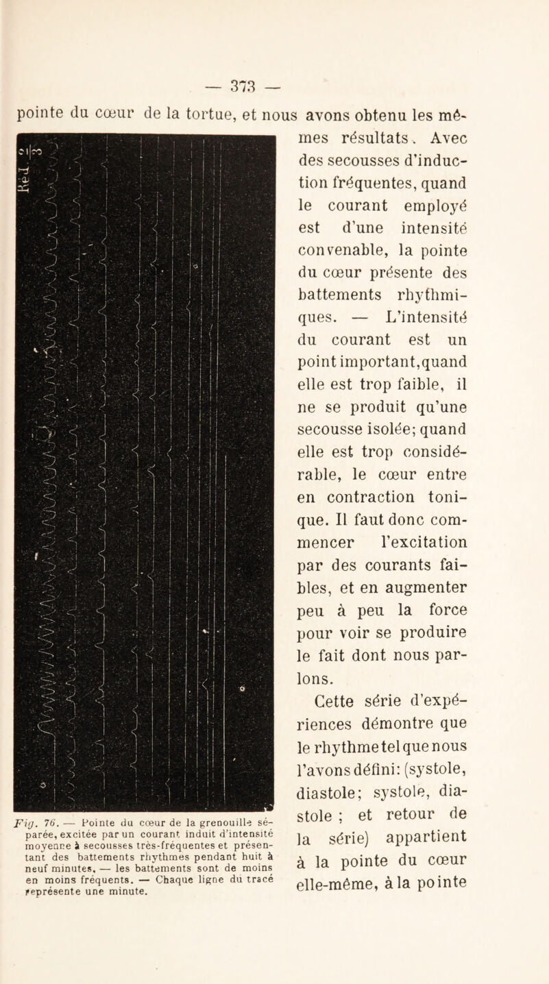 pointe du cœur de la tortue, et nous avons obtenu les mê¬ mes résultats. Avec des secousses d’induc¬ tion fréquentes, quand le courant employé est d’une intensité convenable, la pointe du cœur présente des battements rhyfhmi- ques. — L’intensité du courant est un point important,quand elle est trop faible, il ne se produit qu’une secousse isolée; quand elle est trop considé¬ rable, le cœur entre en contraction toni¬ que. Il faut donc com¬ mencer l’excitation par des courants fai¬ bles, et en augmenter peu à peu la force pour voir se produire le fait dont nous par¬ lons. Cette série d’expé¬ riences démontre que le rhythme tel que nous l’avons défini: (systole, diastole; systole, dia- Fig. 76. — Pointe du cœur de la grenouille sé- «tôle ! et retour de parée, excitée par un courant induit d’intensité ■> aDDartiont moyenne à secousses très-fréquentes et présen- ‘  tant des battements rhythmes pendant huit à Air, nAinto du Pfpnr neuf minutes,- les battements sont de moins a la pointe OU CœUI en moins fréquents. — Chaque ligne du tracé ollo-mAmP à la DOinte représente une minute. Clic 1 ’ r