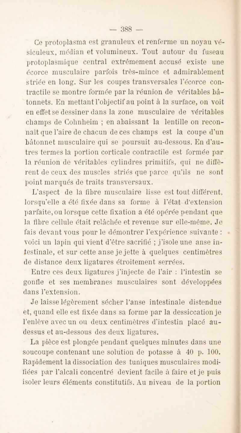 Ce protoplasma est granuleux et renferme un noyau vé- siculeux, médian et volumineux. Tout autour du fuseau protoplasmique central extrêmement accusé existe une écorce musculaire parfois très-mince et admirablement striée en long. Sur les coupes transversales l’écorce con¬ tractile se montre formée par la réunion de véritables bâ¬ tonnets. En mettant l’objectif au point à la surface, on voit en effet se dessiner dans la zone musculaire de véritables champs de Cohnheim ; en abaissant la lentille on recon¬ naît que l’aire de chacun de ces champs est la coupe d’un bâtonnet musculaire qui se poursuit au-dessous. En d’au¬ tres termes la portion corticale contractile est formée par la réunion de véritables cylindres primitifs, qui ne diffè¬ rent de ceux des muscles striés que parce qu’ils ne sont point marqués de traits transversaux. L’aspect de la fibre musculaire lisse est tout différent, lorsqu’elle a été fixée dans sa forme à l’état d’extension parfaite, ou lorsque cette fixation a été opérée pendant que la fibre cellule était relâchée et revenue sur elle-même. Je fais devant vous pour le démontrer l'expérience suivante : voici un lapin qui vient d’être sacrifié ; j’isole une anse in¬ testinale, et sur cette anse je jette à quelques centimètres de distance deux ligatures étroitement serrées. Entre ces deux ligatures j’injecte de l’air : l’intestin se gonfle et ses membranes musculaires sont développées dans l’extension. Je laisse légèrement sécher l’anse intestinale distendue et, quand elle est fixée dans sa forme par la dessiccation je l’enlève avec un ou deux centimètres d’intestin placé au- dessus et au-dessous des deux ligatures. La pièce est plongée pendant quelques minutes dans une soucoupe contenant une solution de potasse à 40 p. 100. Rapidement la dissociation des tuniques musculaires modi¬ fiées par l’alcali concentré devient facile à faire et je puis isoler leurs éléments constitutifs. Au niveau de la portion