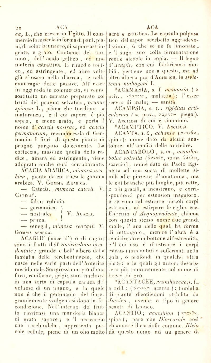 cftj L., clic cresce in Egitto. Il com- mercio forni scela in forma rii pani, pia- ni, di color brunaceo,di sapore astrin- gente, e grato. Contiene del tan- nino , dell’ acido gallico , ed una materia estrattiva. E rimedio Ioni- co , ed astringente, ed altre volte già s’ usava nella diarrea , e nelle emorragie dette passive. All’ esser in oggi rada in commercio, vi venne sostituito un estratto preparato coi frutti del prugno selvatico, prunus spinosa L , prima clic tocchino la maturanza , e il cui sapore è più aspro, e meno grato, e porta il nome d’ acacia nostras, ed acacia gerrnari orimi j recandócesela di Ger- mania. I fiori di questa pianta di prugno purgano dolcemente. La corteccia, massime quella della ra- dice , amara ed astringente , viene adoprata anche qual corroborante. ACACIA ARABICA, mimosa ara bica , pianta da cui Iraesi la gomma arabica. Y. Gomma Aradca. — Catecù, mimosa catecù. \. Catecù’. — falsa; robinia. — germanica. ] — nostrale. j V. Acacia. — prima. ) — senegai, mimosa scncgal. V. Gomma Seneca. ACAGIÙ’ (noce d‘) o di cagiìi; sono i frutti doli’ anacardiuni occi- dentale j grande e bell’ albero della famiglia delle terebentinacee, che nasce nelle varie parti dell’America meridionale. Son grossi non più d una fava, reniformi, grigi; stati rinchiudi in una sorta ili capsula carnea del volume di un pugno, e la quale non è che il peduncolo del fiore, grandemente svolgentesi dopo la fe- condazione. Nell’ interno del frut- to rinviensi una mandorla bianca di grato sapore ; e ’l pericarpio che racchiudela , appresenta pic- cole cellule, piene di un olio molto nere e caustico. La capsula polposa tien del sapor acerbetto aggradevo- I issi ino , si che se ne fa limonate , e ’l sugo suo colla fermentazione rende alcoole in copia. — Il legno d'acagiù, con cui fabbricami mo- bili, perbene non a questo, ma ad altro albero pur d’America, la swie- lenia mahagoni L. *ACAMASIA, s. f. acamasia ( x priv. , v.xxx-o;, malattia)^ 1’esser scevro di male; — sanità. ACAMPSIA, s. f. , rigiditas arti- culorum (x pnv., v.xj.tv-m piego). V. A.ve.iLOsr di cui è sinonimo. *ACAMPTICO. V. Ancilosi. ACANTA, s. f. , achanta (x/.x-Jjx , spina); nome dato da alcuni ana- tomici all’ apofìsi delle vertebre. ACANTABOLO , s. m., acantha- bolus eo/sel/a ( x/.yyQv^ spina (5à>.Àst} scaccio) ; nome dato da Paolo Egi- netta ad una sorta di mollette si- mili alle pinzette d’ anatomia , ma le cui branche più lunghe, più rette, e p:ìi gracili, s’ incastrano, e corri- spoudonsi per estension maggiore, e servono ad estrarre piccoli corpi estranei , ad estirpare le ciglia, ecc. Fabrizio d’ Acquapendente chiama con questo stesso nome due grandi molle, 1’ una delle quali ha forma di rettangolo, mentre l’altra è a semicircolo con bottone all’estremità, e ’l cui uso è d’estrarre i corpi estranei impiantati o solfermati nella gola , o profondi in qualche altra parte: e le quali gli autori descris- sero piii comunemente col nome di becco di giù. * AC A NT A CEE, acanthaceae, s. f., e od.1. • x/.xvOx acanta ) ; famiglia di piante dicotiledoni stabilita da Jussieu , avente a tipo il genere acanto di Linneo. AC ANTIO; acanthion ( x/.x'jOx, spina ) ; pare che Dioscoride cosi chiamasse il carciollo comune. Klein dà questo nome ad un genere di