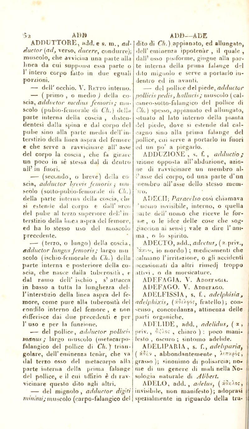f>2 ADN ADDUTTORE, «dd. e s. m., ad- duetor (adj verso, ducere, condurre); muscolo, che avvicina una parte alla linea da cui suppousi essa parte o 1 intero corpo fallo in due eguali porzioni. — dell' occhio. V. Rutto interno. — ( primo , o medio ) della co- scia, adduetor médius femori* ; mu- scolo (pubio-femoiale ili Ch.) della parte interna della coscia , disteu- dentesi dalla spina e dal corpo del pube sino alla parte inedia dell’in- terstizio della linea aspra del femore e che serve a ravvicinare all’ asse del corpo la coscia , che fa girare un poco in sè stessa dal di dentro all’ in fuori. -— (secondo, o breve) della co- scia, adduetor brevi* femori.v ,- mu- scolo (solto-pubio-l’emorale di Ch. ) della parte interna della coscia, cin- si estende dal corpo t dall’ arco del pube al terzo superiore ddi’iu terstizio della linea aspra del femore, ed ha lo stesso uso del muscolo precedente. —■ (terzo, o lungo) della coscia, adduetor lungus Jemoris; largo imi scolo ( ischio-femorale di Ch.) della parte interna e posteriore della co- scia, che nasce dalla tuberosità , e dal ramo dell’ ischio , s’ attacca in basso a tutta la lunghezza del- l’interstizio della linea aspra ilei fe- more, come pure alla tuberosità del condilo interno del femore , e non differisce dai due precedenti e per 1’ uso e per la funzione. -— del pollice, adduetor pollicis tnanus ; largo muscolo (metacarpo- falangico del pollice di Ch.) trian- golare, dell’eminenza tenàr, che va ilal terzo osso del metacarpo alla parte interna della prima falange del pollice, e il cui uffizio è di rav- vicinare questo dito agli altri. — del mignolo , adduetor digiti minimi;muscolo (carpo-falangico del A Db)—ADE dito di Ch. ) appianato, ed allungato, dell’eminenza ippotenàr , il quale, dall’ osso pisiforme, ghigne alla par- te interna della pinna falange del dito mignolo e serve a portarlo in- dentro ed in avanti. — del pollice del piede, adduetor pollicis pedi* y ha linci*; muscolo (cal- caneo-sotto-falangico del pollice di Ch.) spesso, appianato ed allungato, situato al lato interno della pianta del piede, dove si estende dal cal- cagno sino alla prima falange del pollice, cui serve a portarlo in fuori ed un po’ a piegarlo. ADDUZIONE , s. f. , adducilo; ìzione opposta all’abduzione, azio- ne di ravvicinare un membro al- l’asse del corpo, od una parte d’un cembro all’asse dello stesso meni- ini, A DEC lì; Paracelso cosi chiamava 'uomo invisibile, interno, o quella )ai te deli’ uomo che riceve le for- ile , o le idee delle cose che sog* giacciou ai sensi; vale a dire l’ani- ma , o lo spirilo. ADECTO, add., adectuSj ( z pi i v., «zv',i, io inoido) ; medicamenti che calmano l’irritazione, o gli accidenti occasionati da altri rimedj troppo attivi . o da morsicature. ADF.FAGIA. V. Addefagia. ADEFAGO. V. Addefago. ADELFISSIA, s, f., adelphisia, adelphixisy (à^JÀipor, fratello); con- senso, concordanza, attinenza delle parti organiche. Alti FIDE, add., adelidus, ( *, priv. , oì , chiaro ) : poco mani- | lesto , oscuro ; sìntomo addille. ADEL1PARIA, s. f., addipana, li ( xfi-è.v , abbondantemente , D.traçôç , grasso ); sinonimo di polisarcìa; no» i me di un genere di mali nella No- < sologia naturale di A Uberi. ADELO, adii., adelus, (avvilo;, t invisibile, non manifesto); adoprasi 8 spezialmente in riguardo della tra-