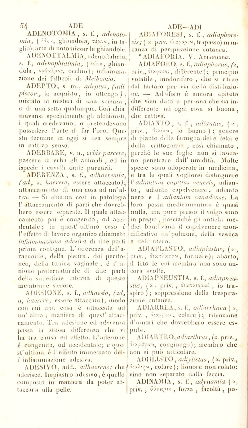 ADENOIOMIA, s. fi, adcnoto- miii, (y-'ìòv, ghiandola, io ta- glio); arte di notomizzar le ghiandole. A l)El\( ) I l A Aî I A, adenoftalrnia, s. f'., adì ■nophlalmia, ( 'dì, v, ghian- dola , òfOz\uo't occhio); infiamma- zione dei follicoli ili Meibo/nio. ADEPTO, s. m., adeptus, (culi piscor j io acquisto, io ottengo j; inizialo ai misteri di una scienza , 0 di una setta qualunque. Cosi chia mavansi specialmente gli alchimisti, 1 quali credevano, o pretendevano possedere l’arte di far fioro. Que- sto termine in oggi si usa sempre in cattivo senso. ADERBARE, v. a., erbis pascere $ pascere di erba gli animali , ed in ispecie i cavalli onde purgarli. ADERENZA , s. fi., adhaerentia, (ad} a, haerere3 essere attaccato):, attaccamento di una cosa ad un’al- tra. — Si chiama cosi in patologia 1’ attaccamento di parti che dovreb- bero essere separate. ìl quale attac- camento poi è congenito , od acci- dentale ; in quest’ ultimo caso è !’effetto di lavoro organico chiamato infiammazione adesiva di due parti prima contigue. L’aderenza dell’a- racuoide, della pleura, del perito- neo, della tunica vaginale , è 1’ li- mone preternaturale di due parti della superficie interna di queste membrane sierose. ADESIONE, s. fi, adhaesìo, (ad} a, haerere 3 essere attaccato); modo con cui una cosa è attaccata ad un’ altra ; maniera di quest’ attac- camento. ira adesione ed aderenza passa la stessa differenza che vi lia tra causa ed riletto. L’adesione è congenita, od accidentale; e que- st’ ultima è l’effetto immediato dèi- fi infiammazione adesiva. ADESIVO, add., adhaerens; che aderisce. Impiastro adesivo, è quello composto in maniera da poter at- taccarsi alla pelle. ADI A FORESI, s. fi, adiaphorc- sis; { x pnv. >UxwpìM> trapasso) man- canza di perspirazione cutanea. * ADIAFORlA. V. AniM-onrsi. A DI AFORO, s. fi, adiaphorus, fiz, pri v., fìixvopoz, differente')} principio volatile , inodontero , che si ritrae dal tartaro per via della distillazio- ne. — Adia foro è ancora epiteto che vien dato a persona che sia ili- differente ad ogni cosa si buona, che cattiva. ADI ANTO , s. fi , adiantus, ( y , priv. , , io bagno ) : genere di piante della famiglia delle felci e della crittogamia , cosi chiamato , perchè le sue foglie non si lascia- no penetrare daifi umidità. Molte specie sono adoperale in medicina, e tra le (piali voglionsi distinguere fi adiantum capillus \>eneris} adian- to , adianto capelvenere , adianto nero e fi adiantum canadcnse. La loro possa medicamentosa è quasi nulla, ina pure [nesso il volgo sono in pregio , posciachè gli antichi me- dici bandivano il capelvenere mon- dilìcativo de’polmoni, della vescica e dell’ utero. ADIAFLASTO, adiapìaslus3 , priv., (iiydiy.r-ro, formare); aborto, il feto le cui membra non sono au- eora svolte. A DI A PNE USTI A, s. fi, adiapneu- stia} (y , priv., dixn'jzouxi , io tra- spiro); soppressione della traspira- zione cutanea. AD1ARREA, s. fi, adiarrhaea ( x, priv. , ihxìpì',) , colare ) ^ ritenzione d’umori che dovrebbero essere es- pulsi. ADIXRTÏxQ,adiarthrusj [x. priv., ÌLzpjpoo/, congiungo ); membro che non si può aiticolare. ADI1L1STO, adiyUsLus, (a, priv., rîiuXiçw, colare): liauore non colato: vino non separato dalla feccia. ADINAMIA, s. fi, adynarniti ( x, priv. , odiasi:, forza , facoltà, [io-