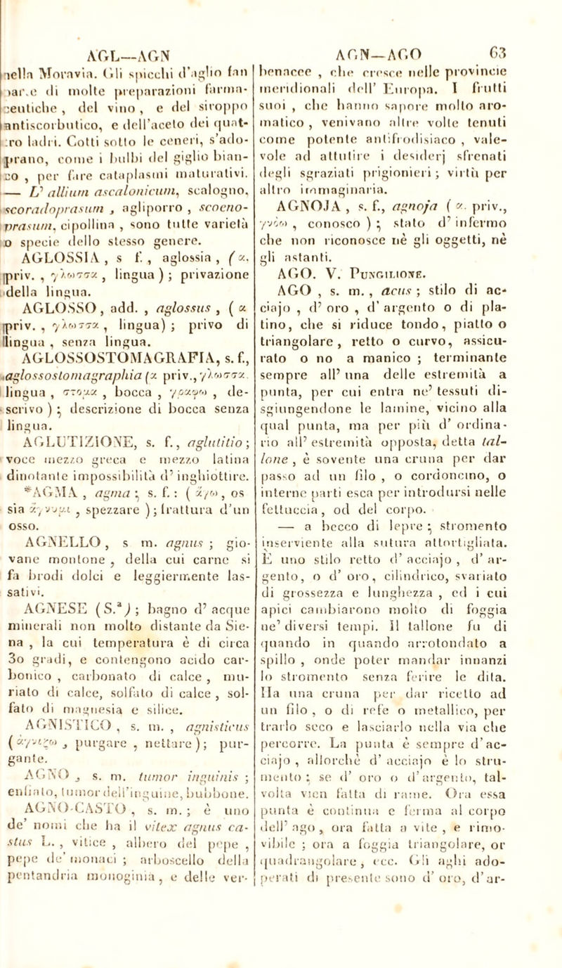 AGL—AGN nella Moravia, (ili spicchi d’aglio fan oar.e di molte preparazioni farma- ceutiche , del vino , e del siroppo antiscorbutico, e dell’aceto dei (piat- irò ladri. Cotti sotto le ceneri, s ado- ntano, come i bulbi del giglio bian- co , per fare cataplasmi maturativi. — L? alliurn ascalonicum, scalogno, \<scorailoprasurn , agliporro , scoeno- \ Tira su/n, cipollina , sono tutte varietà o specie dello stesso genere. AGLOSSIA , s f. , aglossia , ( a. ipriv. , 7/0)772 , lingua ) ; privazione della lingua. AGLOSSO , add. , aglossus , ( « ipriv. , 7/(0777. , lingua) ; privo di llingua , senza lingua. AGLOSSOSTOMAGRAFIA, s. f., ,aglossostoniagraphia (z priv., y’/o>77z lingua , n-rrxu } bocca , y pouf v , de- scrivo ) • descrizione di bocca senza lingua. AGLETIZÌONE, s. f., agluddo; voce mezzo greca e mezzo latina dinotante impossibilità d’inghiottire. *AGMA , agma • s. f. : ( -2/o>, os sia xyvju.i j spezzare ); frattura d’un osso. AGNELLO , s m. agnus ; gio- vane montone , della cui carne si fa brodi dolci e leggiermente las- sativi. AGNESE (S.* ) ; bagno d’acque minerali non molto distante da Sie- na , la cui temperatura è di circa 3o gradi, e contengono acido car- bonico , carbonato di calce , mu- riato di calce, solfato di calce , sol- fato di magnesia e silice. AGNI STI CO , s. m. , agnisdeus ( àyvt^w j purgare , nettare); pur- gante. AGNO j s. m. Iunior inguinis ; enlialo, Iunior dell’inguine, bubboue. AGNO-CASTO , s. m. ; è uno de’ nomi che ha il vitex agnus ca- ctus L. , vitice , albero del pepe , pepe de’ monaci ; arboscello della pentandria raonoginià , e delle ver- AON—AGO 63 bonacce , che cresce nelle provinole meridionali dell’ Europa. I frutti suoi , clic baniio sapore mollo aro- matico , venivano altre volle tenuti come potente antifrodisiaco , vale- vole ad attutire i desiderj sfrenati degli sgraziati prigionieri; virtù per altro immaginaria. AGNOJA , s. f., agno/a f priv., y vif» , conosco ) • stato d’ infermo che non riconosce nè gli oggetti, nè gli astanti. AGO. V. Pungiliove. AGO , s. m. , acus ; stilo di ac- ciajo , d’ oro , d’ argento o di pla- tino, che si riduce tondo, piatto o triangolare, retto o curvo, assicu- rato o no a manico ; terminante sempre all’ una delle estremità a punta, per cui entra ne’ tessuti di- sgiungendone le lamine, vicino alla qual punta, ma per più d’ ordina- rio all’ estremità opposta, detta tal- lone , è sovente una cruna per dar passo ad un filo , o cordoncino, o interne parti esca per introdursi nelle fettuccia, od del corpo. — a becco di lepre ; stromento inserviente alla sutura attortigliata. E uno stilo retto d’ acciajo , d’ ar- gento, o d’ oro, cilindrico, svariato di grossezza e lunghezza , ed i cui apici cambiarono molto di foggia ne’ diversi tempi. Il tallone fu di quando in quando arrotondato a spillo , onde poter mandar innanzi lo stromento senza ferire le dita. Ila una cruna per dar ricetto ad un filo , o di refe o metallico, per trailo seco e lasciarlo nella via che percorre. La punta è sempre d’ac- ciajo , allorché d’ acciajo è lo stru- mento : se d’ oro o d’argento, tal- volta vien fatta di rame. Ora essa punta è continua e ferma al corpo dell’ ago , ora fatta a vite , e rimo- vibile ; ora a foggia triangolare, or quadrangolare, eco. Gli aghi ado- perati di presente sono d’ oro, d’ar-