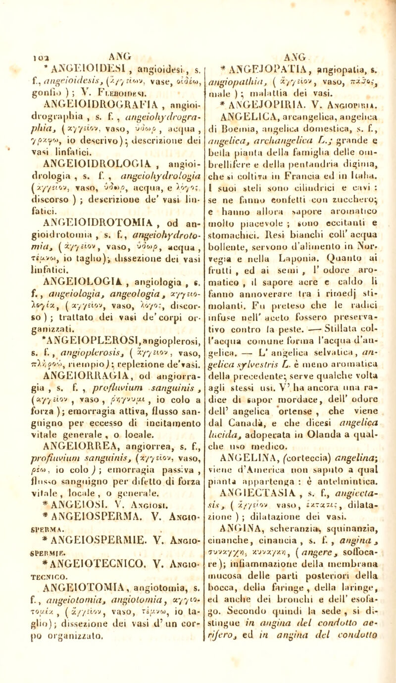 ura * ANGEIOIDESI , angioidcsi , s. f., angcioidesis, (ÿ./yür.w, vase, oicìiw, gonfio ) ; V. Fi.KiioinKsi. ANGEIOIDROGRAFIA , angioi- drographia , s. f. , angeiohy drogra- pìtia, ( xyyuov, vaso, uJwo , acqua , ?/>z¥w> >° descrivo)} descrizione dei vasi linfatici. ANGEIOIDROLOGIA , angioi- drologia , s. f‘. , angeiohydrologia (xyynov, vaso, Cnìwo, acqua, e ìéy-i;, discorso ) ; descrizione de’ vasi lin- fatici. AN GE IOIDROTOMIA , od an- gioidrotomia , s. f., angeiohyd.rota- mia, (styyciov, vaso, io eoa, acqua, rruvo), io taglio)-, dissezione dei vasi linfatici. ANGEIOLOGIA , angiologia , s. f., angelologia, angeologia , 277 sio- isytx, ( styysiov, vaso, discor- so); trattato dei vasi de’corpi or- ganizzati. ‘ANGEIOPLEROSRangioplerosi, s. f., angioplerosis, ( i'/ynov, vaso, riempio) } replezione de’vasi. ANGEIORRAG1A, od angiorra- già , s. f. , profluvium sanguinis , («77*tov , vaso, pr,yv\ipi , io colo a forza ); emorragia attiva, flusso san- guigno per eccesso di incitamento vitale generale , o locale. ANGEIORR.EA, angiorrea, s. f., profilivium sanguinis, (x’/ysìov, vaso, io colo ) ; emorragia passiva , fiiis-o sanguigno per difetto di forza vitale , locale , o generale. * ANGEIOSI. V. Angiosi. * ANGEIOSPERMA. V. Angio- Sl’EKM A. * ANGEIOSPERMIE. V. Angio- SPEIIM[E. * ANGEIOTECNICO. V. Angio- TECNICO. ANGEIOTOMIA, angiotomia, s. f., angeiotomia, angiotomia, uyyto- louiy. , (jc/yìiov, vaso, riesco, io ta- glio); dissezione dei vasi d’un cor- po organizzato. * ANGFJOPA L IA, angiopalia, s. angiopalhia, ( styyjiov, vaso, Trxj&t, male )} malattia dei vasi. * AN.GEJOP1RIA. V. Avgiopuua. ANGELICA, arcangelica, angelica di Boemia, angelica domestica, s. f., angelica, arcliangelica L.j grande e bella pianta della famiglia delle om- brellifere e della pentandria digitila, chesi coltiva in Francia ed in Italia. 1 suoi steli sono cilindrici e cavi : se ne fanno eonfetli con zucchero} e hanno allora sapore aromatico molto piacevole ; sono eccitanti e stomachici. Resi bianchi coll’ acqua bollente, servono d’alimento in Nor- vegia e nella Laponia. Quanto ai frutti , ed ai semi , 1’ odore aro- matico , il sapore acre c caldo li fanno annoverare tra i rirnedj sti- molanti. Fu preteso che le radici infuse nell’ aceto fossero preserva- tivo contro la peste. —■ Stillata col- l’acqua comune forma l’acqua d’an- gelica. — L’angelica selvatica, an- gelica sylvcslris T,. è meno aromatica della precedente} serve qualche volta agli stessi usi. V’ ha ancora una ra- dice di sapor mordace, dell’ odore dell’ angelica ortense , che viene dal Canada, e che dicesi angelica lucida, adoperata in Olanda a qual- che uso medico. ANGELINA, (corteccia) ange lina; viene d’America non saputo a qual pianta appartenga : è antelmintica. ANGIECTASIA , s. f., ungicela- sis, ( i//vv* vaso, Exvaw:, dilata- zione ) ; dilatazione dei vasi. ANGINA, scheranzia, squinanzia, ematiche, cinancia , s. f. , angina, Tj-jy.-f/n. x'jvxyxij, ( anger e , soffoca- re); infiammazione della membrana mucosa delle parti posteriori della bocca, della faringe , della laringe, ed anche dei bronchi e dell’ esofa- go. Secondo quindi la sede , si di- stingue in angina del condotto ac- rijero, ed in angina del condotto