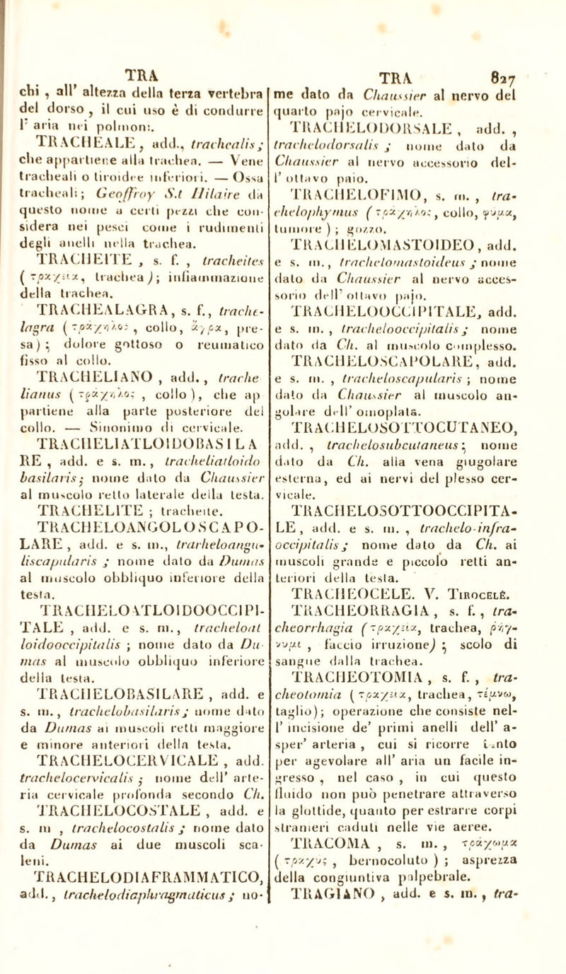 TRA chi , all’ altezza della terza vertebra del dorso , il cui uso è di condurre r aria nei polmoni. TRACHEALE} udd., trachealis; che appartiene alla trachea, — Vene tracheali o tiroidee interiori. — Ossa tracheali; Geoffroy S.t llilaìre da questo nome a certi [lezzi che con- sidera nei pesci come i rudimenti degli anelli nella trachea. TRACHEITE , s. f. , trachéites (TPxXil'xi trachea )-, infiammazione della trachea. TRACHEALAGRA, s. f., (radu- la gru ( Toà/vj/o; , collo, «/fa, pre- sa)^ dolore gottoso o reumatico fisso al collo. TRACHELlANO , add. , trache lianus , collo), che ap parliene alla parte posteriore del collo. — Sinonimo di cervicale. TRAC11EL1ATLOIDOBAS I L A RE , add. e s. m., Ir ache liât lai do basila ri s nome dato da Cliaussier al muscolo retto laterale della lesta. TRACHEL1TE ; Irachene. TRACE ELOANGOL O S C A P O- LARE , add. e s. m., trarheloangu- liscanularis ; nome dato da Dumas al muscolo obbliquo inferiore della testa. TRAC11ELOATLOIDOOCCI PI- TALE , add. e s. ni., tracheloal loidooccipitalis ; nome dato da Da mas al muscolo obbliquo inferiore della lesta. TRACI!ELOBASILARE , add. e s. m., trachelobasilaris j nome dato da Dumas ai muscoli retti maggiore e minore anteriori della testa. TRACHELOCERY ICALE , add. trachelocervicalis ; nome dell’ arte- ria cervicale profonda secondo 6/t. TRACIIELOCOSTALE , add. e s. in , trachelocostalis j nome dato da Dumas ai due muscoli sca- leni. TR ACHE LO DIA FRA MAI ATICO, adì!., trachelodiapliragrnalicusy no- TRA 827 me dato da Cliaussier al nervo del quarto pajo cervicale. TRACHELOÜORSALE , add. , trachclodorsalis ; nome dato da Cliaussier al nervo accessorio del- I’ ottavo paio. TRACUELOFIÌYIO, s. .... , tra- ehelophymus ( toz/yPaq: , collo, «puuoq tumore ) ; gozzo. TRACE ELOMASTOIDEO, add. e s. m., trachelomastoideus j nome dato da Cliaussier al nervo acces- sorio dell’ottavo pajo. TRACI1ELOOCCIPITALE, add. e s. m. , traclielooccipitalis j nome dato da 6/t. al muscolo complesso. T R A C H E L O S C A P O L A R E, a d d. e s. m. , Iraclieloscapularis ; nome dato da Cliaussier al muscolo an- golare dell’ omoplata. TRACHELOSOTTOCUTANEO, add., trachelosubcutaneus} nome dato da 6/t. alla vena giugolare esterna, ed ai nervi del plesso cer- vicale. TR AC11ELQSOTTOOCCI PI TA- LE , add. e s. 111. , trachelo infra- occipitalisj nome dato da C/t. ai muscoli grande e piccolo retti an- teriori della testa. TRACEEOCELE. V. Tirocelé. TRACHEORRAG1A , s. f. , tra- cheorrliagia ( ~pxyzitrachea, pŸy- vvpt , faccio irruzione^ } scolo di sangue dalla trachea. TRACHEOTOMIA , s. f. , tra- cheotomia (tpx/uxt trachea, téuvw, taglio); operazione che consiste nel- I’ incisione de’ primi anelli dell’ a- sper’ arteria , cui si ricorre i mto per agevolare all’ aria un facile in- gresso , nel caso , in cui questo fluido non può penetrare attraverso la glottide, quanto per estrarre corpi stranieri caduti nelle vie aeree. TRACOMA , s. m. , toùyMux ( -oz'/j; , bernocoluto ) ; asprezza della congiuntiva palpebrale. TR AGI A NO , add. e s. in. , tra-