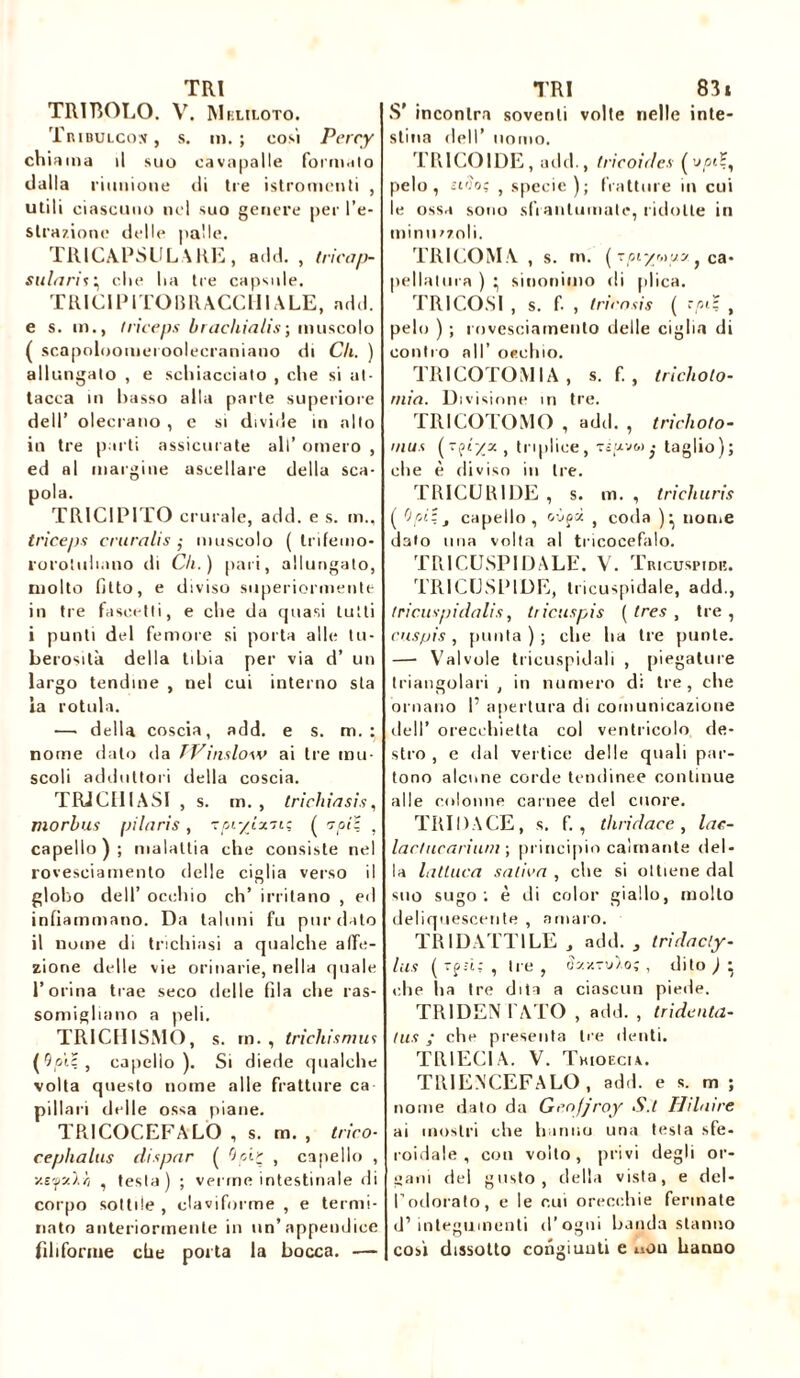 TR1TÎOLO. V. Mkliloto. TninuLCo.v, s. m. ; cosi Percy chiama il suo cavapalte formalo dalla riunione di tre istromenti , utili ciascuno nel suo genere per l’e- strazione delle palle. TRICAPSULARE, add. , tricap- sularis\ che ha tre capsule. TRICIPITOBRA CC HI A LE, add. e s. in., triceps brachialis •, muscolo ( scapoloomei ooleeraniano di C/t. ) allungalo , e schiacciato , che si at- tacca in basso alla parte superiore dell’ olecrano , c si divide in alto in tre parti assicurate all’ omero , ed al margine ascellare della sca- pola. TR1CIP1TO crurale, add. e s. m.. triceps cruralis ,- muscolo ( Irifemo- rorotuli.mo di Cli.) pari, allungato, molto fitto, e diviso superiormente in tre fascetli, e che da quasi tutti i punti del femore si porta alle tu- berosità della tibia per via d’ un largo tendine , nel cui interno sta la rotula. — della coscia, add. e s. m. : nome dato da TVinslow ai tre mu- scoli adduttori della coscia. TRJC11IASI , s. m. , trichiasis, morbus pilaris, tpi/Jx-n; ( toì: , capello ) ; malattia che consiste nel rovesciamento delle ciglia verso il globo dell’ ocehio eh’ irritano , ed infiammano. Da taluni fu pili’d ito il nome di trichiasi a qualche affe- zione delle vie orinarie, nella quale l’orina trae seco delle fila che ras- somigliano a peli. TR1CUISMO, s. in., trichismus (9oi5, capello). Si diede qualche volta questo nome alle fratture ca pillali delle ossa piane. TPiICOC.EFALO , s. m. , trico- cephalus dispar ( Oci? , capello , , testa) ; verme intestinale di corpo sottile , claviforme , e termi- nato anteriormente in un’appendice filiforme che porta la bocca. — S’ incontra soventi volte nelle inte- stina dell’ uomo. TR1COIDE, add., (rìcoides (w/»?, pelo, nò»; , specie ); fratture in cui le ossa sono sfrantumate, ridotte in minuzzoli. TRICOMA , s. m. ( zpiyr,)'j.y f ca- pellatura ) ^ sinonimo di plica. TRI COSI , s. f- , trirosis ( r/st; , pelo ) ; rovesciamento delle ciglia di contro all’ occhio. TRICOTOMIA, s. f. , trichoto- rnia. Divisione in tre. TRICOTOMO , add. , triclioto- mus (-çlyx , triplice, -du vot • taglio); che è diviso in Ire. TRI CU RI DE , s. tn. , Iridi tir is ( capello, oùfà , coda )^ nome dato ima volta al tricocefalo. TRICUSPIDALE. V. Tricuspidi;. TRICUSPIDE, tricuspidale, add., tricuspidalis, tricuspis ( 1res , tre , cusfjis , punta ) ; che ha tre punte. — Valvole tricuspidali , piegature triangolari , in numero di tre, che ornano I’ apertura di comunicazione dell’ orecchietta col ventricolo de- stro , e dal vertice delle quali par- tono alcune corde tendinee continue alle colonne carnee del cuore. TRI DA CE, s, f. , thridace , lac- lactucarium ; principio calmante del- la latluca salica , che si ottiene dal suo sugo : è di color giallo, molto deliquescente , amaro. TRIDATTILE 3 add. s tridacly- lus ( Tf.-ì; , Ire, dy.xzv/.o; , dito ) • che ha Ire dita a ciascun piede. TRIDEN I ATO , add. , Indenta- tus ; che presenta tre denti. TR1EC1A. V. Thioecu. TRI ENCEFALO , add. e s. m ; nome dato da Genfjroy S.t Hilaire ai mostri che hanno una testa sfe- roidale , con volto, privi degli or- gani del gusto, della vista, e del- l’odorato, e le cui orecchie fermate d’integumenti d’ogni banda stanno così dissolto congiunti e uón hanno