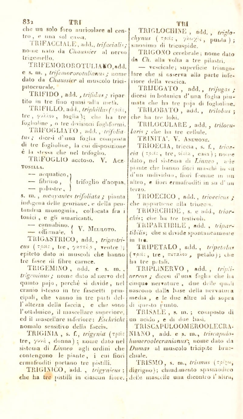 cen- 83 2 che un tro , e TRI solo for ima sol o auricolare al cassa. i RIFACCI ALL , adii., tri[lìcitili’s j no ne fiato da Cliauxsier al nervo trigemello. TR 1FEM O ROROT14 J A KO, a d d. e s. m. , trjcniororotuliatiusj nome dato da Clutussier al muscolo trio - ptlocrurale. TRI FIDO , add. , trifali* j i i pa r tifo in tre (Ino quasi 'alla metà. xRlITLLO, add., tnf/ii/lus od: t tre, y/uov , Inoliai- che ha tre fogliolino j n tre divisioni fogliformi. J RII4 U(»LI A 1 O , add., trifolia tio> ; dicesi d una foglia eouijiosia di tre foglioline, la cui disposizione e la strssa che nel trifoglio. 1 RiF OC LIO acetoso. V. Ace tosella. — acquatico,) •— librino , ( trifoglio d’acqua. ■— |) ihistre , ) s. m., menyantes trifolìala j pianta indigena delle genziane, e della peu - lamina monoginia, collocata fra i tonici , e gli amaricanti. — cannabino. — olii ‘male. ■ V, Meliloto. I RIGASI RICO, add., trìgaslri- Ctts ( TO-i: , lie, yxoryo , ventre 1; epiteto dato ai muscoli che hanno tre lasre di libre carnee. TRIGEMINO , add. e s. m. . trigona nus j nome dato a! nervo del quinto pajo , perchè si divide , nel cranio Flesso in tre fascietli prin- cipali, che vanno in tre patti del 1 alte/za della faccia , e che sono l’ottalmicOj il mascellare superiore, ed il mascellare inferiore: Jùchricht nomalo sensitivo della faccia. TRI G INI A , s. f., trigynia (t ?zì: tre, yovzi , donna) • nome dato nel sistema di Limito agli ordini che contengono le piante, i cui (ioti ermafroditi portano tre pistilli. TRI G l.\ ICO , add. , trigynicus : che ha tre pistilli in ciascun fiore. J TRI TRIGLOCIIINE , add. , triglo- chynus ( ~j>d; , , pUll,a ) ; sinonimo di tricuspide. TRIGONO cerebrale; nome dato da Cli. alla volta a tre pilastri. — veseicale; superficie triango- lare die si osserva alla parte infe- riore della vescica. ÌRIJL’GA I O , add,, trij'tigas • (licesi in botanica d’una foglia piu- mata elle Ini (re paja di fogliatine. TRILOBATO , add. , trilobus ; clic ha tre lobi. FRlLOCULAREj add. , triloru- laris ; die ba tre cellule. IR IM I A’. V. Anemoni;. TRIOECIA, (riccia , s. f., trios- ria ( Tpd: , tre, , casa) ; nome dato, rud sistema di Linneo , a de piante che hanno fiori maschi in <;t (i un individuo, fiori fi-mirie ui mi altro, e fiori ermafroditi m su d’ un terzo. 1 RIOECICO , adii. , triuecieus j che appartiene ella trioecia. i RIORCHI DE , s. e add., trior- chis : ciie ha tre testicoli. i RIDAR! IBI LE , ndd. , bipar- titili»-, che si divide spontaneamente m he. TRIPETALO , add. , tripetala* ( rodi , tre, 77ìtzÀov 3 petalo;; die ha tre p, tali. TRIPLI NERVO , add. , tripli. titrons j dieesi d’ima foglia che ha cinque nervature , due delle quali nascono dalla base della nei vanii a media e le due altre al di sopra ili questo plinto. TRINALE , s. in. ; composto di un acido j e di due basi. T R1SCAPÜLOO M ERO O LECR A • NI ANO , add. e s. ni., trisi apulo- hitrneroolecranianiisnome dato ila Dumas al muscolo tricipite brac- chiate. TR1SMO, s. rn., Iristmis (~pl>y.>t digrigno); chiudunento spasmodico delle mascelle una dicontro l’ altra,