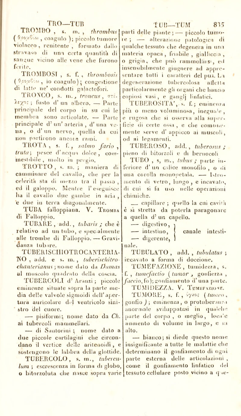 TRO—TUR TROMBO , s. in. , thrombus ( , coagulo ); piccolo tumore violaceo , renitente , formato dallo stravaso di una certa quantità di sangue vicino alle vene che furono ferite. TROMBOSI , s. f. , tlirombosìs ( Osouì-.w , io coagulo) - congestione di latte ne’ condotti galactofori. TRONCO, s. in. j troncus , ?~i- ^•sX0î ; fusto d’ un albero. — Fai te principale del corpo in su cui le membra sono articolate. — Parte principale d5 un’ arteria , d’ una ve- lia , o d’un nervo, cpiella da cui non partirono ancota rami. TROTA , s. I. , salmo fario , irula ; pesce d acqua dolce, coni* inest tirile , mollo in pregio. TROTTO , s. m. ; maniera di j camminare ilei cavallo, che per la celerità sta di messo tra il passo , ed il galoppo. Mentre l’eseguisce Ila il cavallo due gambe in aria , e due in terra diagonalmente. TUBA falloppiana. V. Tromba di Falloppio. TUBARE, add., tuhan's j cbe è relativo ad un tubo, e spee almeute alle trombe di Falloppio. — Gravi- danza tubare. TUBER1SCIIIOTROCANTERIA- TNO , add. e s. m. , tuberiscliitro- chanterianus ; nome dato da Dumas al muscolo quadrato della comcio. TUBERCOLI d’ Acanzi ; piccole eminenze situate sopra la parte me- dia delle valvole sigmoidi dell’aper- tura auricolare del ventricolo sini- stro del cuore. — pisiformi; nome dato da Cli. ai tubercoli mammellari. — di Sautorini :> nome dato a due piccole cartilagini cbe circon- dano il vertice delle aritenoidi , e sostengono le labbra della glottide. TUBERCOLO, s. tu., tubercu- lurn ; escrescenza in forma di globo, o bitorzoluta die nasce sopra varie TUR—TUM 81? parti delle piante;— piccolo tumo- ie; — alterazione patologica di qualche tessuto cbe degenera in una materia opaca, friabile, gialliccia, o grigia, che può rammollii si, ed insensibilmente giugnere ad appre- sentare tutti i caratteri del pus. L i degenerazione tubercolosa alletta particolarmente gli organi clic hanno copiosi vasi , e ganglj linfatici. TUBEROSITÀ’, f. ; eminenza più o meno voluminosa, ineguale, e rugosa che si osserva alla super- ficie (ii certe ossa, e che comune- mente serve d’ appicco ai muscoli, od ai legamenti. TUBEROSO, add., luberostts ; pieno di bitorzoli e di bernocoh TUBO , s, iti., tubas; parte in- feriore d’ un calice monofilo , o di una corolla monopetala. — Islro- iiicnto di vetro, lungo, e incavato, di cui si fa uso nelle opeiazioni chimiche. capillare ; quello la cui cavila è si stretta da poterla paragonare a quella d’ un capello. — digestivo, s — intestino, j canale intesti- — digerente, ) naie. TUBULATO , add. , tubulalus ; incavato a forma di doccione. TUMEFAZIONE , tumidezza, s. f. , tuiiufaclio ( iunior , gonfiezza , faccio, fo); gonfiamento d’una parte. TUMIDEZZA. V. Tumefizionr. TUMORE, s. f. , ( tunica , gonfio ) ; eminenza, o protuberanza anormale sviluppatasi in qualche parte del corpo , o meglio, loc.a'e aumento di volume in largo, e in alto. — bianco; si diede questo nome insignificante a tutte le malattie che determinano il gonfiamento di ogni parte esterna delle articolazioni , come il gonfiamento linfatico del tessuto cellulare posto vicino a q *e-