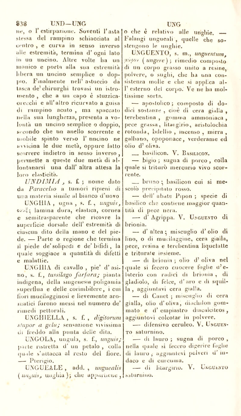 ne, o 1’ estirpazione. Soventi l’asta stessa del rampino schiacciata al centro , e curva in senso inverso alle estremità, termina cT ogni lato in un uncino. Altre volte ha un manico e porta alla sua estremità libera un uncino semplice o dop- pio. Finalmente nell’ astuccio da tasca de’chirurghi trovasi un istro- mento , che a un capo è stuzzica- ci erchi e all’altro ricurvalo a guisa di rampino acuto , ma spaccato nella sua lunghezza, presenta a vo- lontà un uncino semplice o doppio, secondo che un anello scorrente e mobile spinto verso 1’ uncino ne avvicina le due metà, oppure latto scorrere indietro in senso inverso, pennette a queste due metà di al- lontanarsi una dall’ altra attesa la loro elasticità. UN D IMI A j s. £ ; nome dato da Paracelso a tumori ripieni di una materia simile al bianco d'uovo UNGHIA , ugna , s. f. , unguis, ojA; lamina dura, elastica, cornea e semitrasparente che ricovre la superfìcie dorsale dell’ estremità di ciascun dito della inano e del pie- de. — Parte o regione che termina il piede de’solipedi e de’ bifidi, la quale soggiace a quantità di difetti e malattie. UNGHIA di cavallo, pie’ d’asi- no, s. f., tussilago farfaraj pianta indigena, della smgenesia poligamia superflua e delle corimbifere, i cui fiori mucilugginosi e lievemente aro- matici furono messi nel numero de’ rimedi pettorali. UNGHIELLA , s. f. , digitorum srupor a geluj sensazione vivissima di freddo alla punta delle dita. UNGULA, ungula, s. f., ungui sj parte ristretta d’ un petalo , colla (piale s’attacca al resto del fiore. — Pterigio. UNGUEALE , add. , unguealis (uuDuisj unghia); che appartiene, o che è relativo alle unghie. Falangi ungueali , quelle che so- stengono le unghie. UNGUENTO, s. m., unguenlumt irjpoj (ungere); rimedio composto di un corpo grasso unito a resine, polvere, o sughi, che ha una con- sistenza molie e che si applica al- T esterno del corpo. Ve ne ha mol- tissime sorta. — apostolico ; composto di do- dici sostanze , cioè di cera gialla , terebentina , gomma ammoniaca , pece grassa, litaigirio, aristolochia rotonda, hdellio , incenso, mirra, galbano, opoponace, verderame ed olio d’ oliva. basilicon. V. Basilico^. — bigio ; sugna di porco , colla quale si triturò mercurio vivo scor- rente. bruno • basilicon cui si me- scolò precipitalo rosso. — dell’ abate Pipon ; specie di basilico che contiene maggior quan- tità di pece nera. —• d’Agrippa. V. Unguento di brionia. — d’altea* miscuglio d’olio di lino, o di mucilaggine, cera gialla, pece, resina e terebentina liquetalte e triturale insieme. — di brionia ; olio d’ oliva nel quale si fecero cuocere foglie u’e- laterio con radici di brionia , di gladiolo, di felce, d’aro e di squil- la, aggiuntavi cera gialla. — di Canet ; miscuglio di cera gialla, olio d’oliva, diachilon gom- mato e d’ empiaslro cliacalciteos , aggiuntovi colcotar in polvere. — difensivo ceruleo. V. Unguen- to saturnino. — di lauro ; sugna di porco , nella quale si fecero digerire toglie rii lauro , aggiuntevi polveri d’ in- daco e di curcuma. — di litargirio. V. UTguento saturuino.