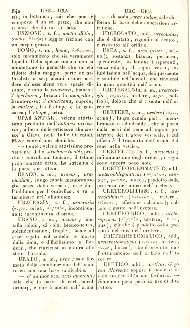 vis ,- in botanica, ciò che non è composto ri’un sol pezzo; che non si apre che da un sol lato. UNZIONE, s. f., uncli o illitio, ypi'iii, y.\ìi-ln% ; leggier frizione con un corpo grasso. UOMO, s. in., homoreo;, solo mammifero che sia veramente bipedo. Della specie umana non si ammettono in generale che varietà ridotte dalla maggior parte de’na- turalisti a sei -r alcuni osano cre- dere eh’ esse sieno vere specie di- stinte, e sono la caucasea, bianca ; 1' iperborea t bruna • la mongolia , bruno-rossa* V americanas cuprea; la malese , tra F etiope e la cau- casea ; 1’ etiope , nera. UPAS ANTIAR; veleno attivis- simo prodotto dall’ antiaris toxica- ria, albero delle orticacee che cre- sce a Giava nelle Indie Orientali. M ove convulsioni cloniche. -— tieuté * veleno attivissimo pro- veniente dallo strichnos lieuté ^ pro- duce convulsioni toniche, il tetano propriamente detto. La stricnina è la parte sua attiva. URACO, s. m. , uracus , ura- niculurnj lungo canale membranoso che nasce dalla vescica , esce dal- 1’ addome per 1’ ombelico , e va a terminare nell’ allantoide. URACRASIA, s. f. , uracrasia (ovgov , orina, ùv.pxalx, incontinen- za)^ incontinenza d’orina. URANO , s. m. , uranus j me- tallo solido, di color bianco-scuro, splendentissimo , fragile , facile ad esser rigato col coltello e morso dalla lima, e difficilissimo a fon- dersi, che rinviensi in natura allo stato d’ ossido. URATO , s. m., uras ; sale for- mato dalla combinazione delp acido urico con una base salificabile. — d’ ammoniaca, uras ammoniij sale che fa parte di certi calcoli orinar) , e che è anche nell’ orina. —- di 6oda , uras sodae\ sale chi forma la base delle concrezioni ar- tritiche. URCEOLATO j add , urceolalus-, che è dilatato , rigonfio al centro , e ristretto all’ orifizio. UREA , s. f., urea (oùafr.» , ori- no )* sostanza bianca, perlacea, splendente, in lamine trasparenti, senza odore , di sapor fresco , so- lubilissima nell’ acqua, deliquescente e solubile nell’alcool, che rinviensi in gran quantità nell’ orma. URETERALG1A, s. m., ureteral- gia ( oùp-oT/iÿ, uretere, àiysw , sof- fro)^ dolore che si risente nell’u- retere. URETERE, s. m., uretere (o-jpov, orina ) ; lungo canale pari , mem- branoso e cilindroide , che si porta dalla pelvi del rene all’angolo po- steriore del tiigono vescicole, il cui uffizio è il trasporto dell’ orina dal rene nella vescica. URETERITE, s. f., i irete ri lis j infiammazione degli ureteri; i segni sono ancora poco noti. URETEROFLEMMATICO, add. ureterophlegmaticus ( avp/iTqp, ure- tere, ipÀs<j-ua, muco); prodotto dalla presenza del muco nell’ uretere. URETEROL1TIASI , s. f. , ure- lerolithiasis ( rrjpr-~hp ; uretere , ìtSix'ni; , affezione calcolosa); cal- colo rimasto nell’ uretere. URETEROP11CO , add. , ure te - ropyicus (ovatti p , uretere, k-jov t pus ) ; ciò che è prodotto dalla pre- senza del pus nell’ uretere. URETEROSTOM ATICO , add., ureterostomaticus (o'jfzrvio, uretere, 'ttüu.x , bocca); che è prodotto dal- 1’ otturamento dell’ orificio dell’ u- ietere. ERETICO, add. , ureticus. Guy- ton Morveau appose il nome dJ a- cido uretico all’acido fosforico. — Sinonimo poco però iu uso di diu- retico.