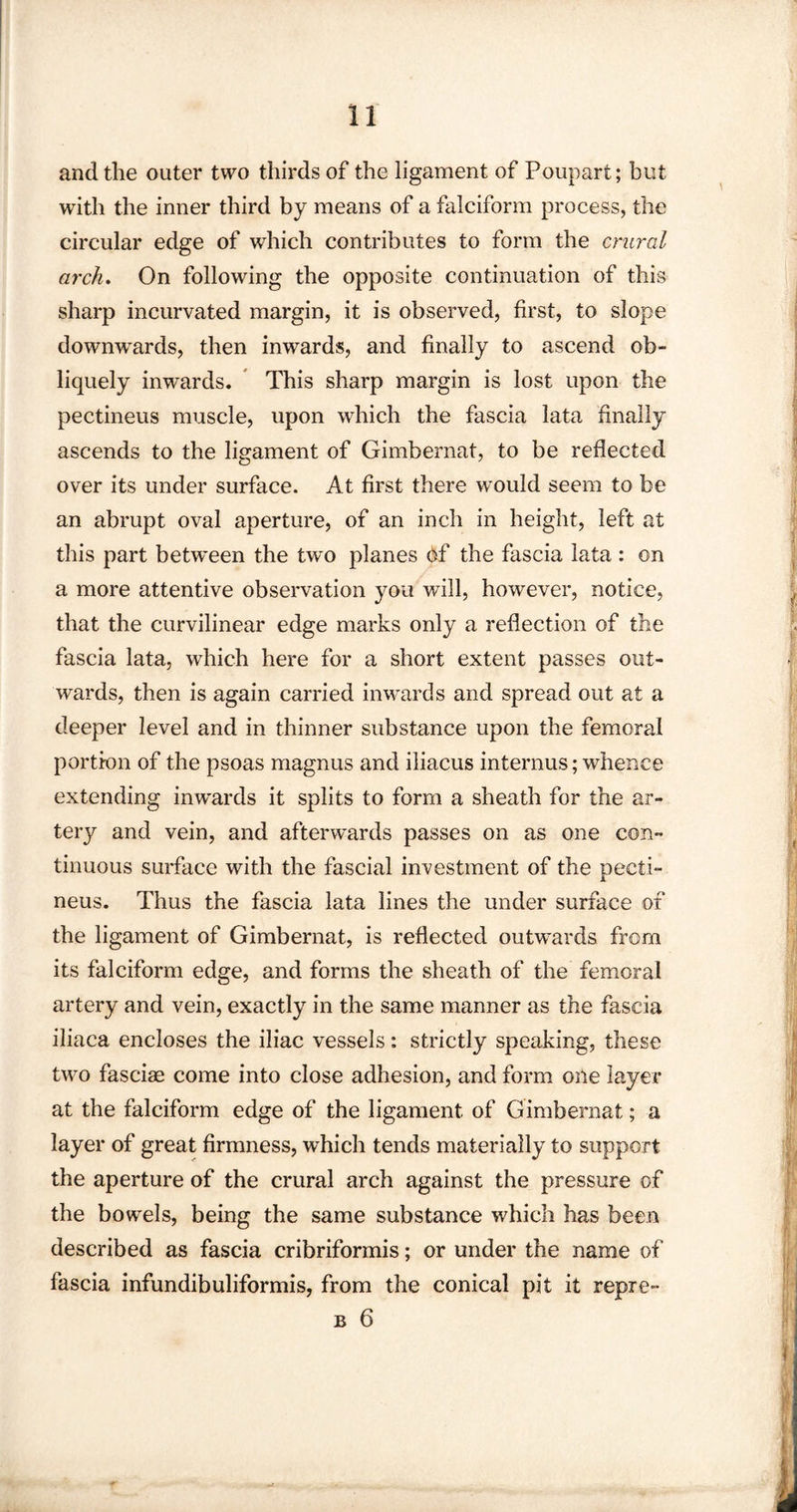 and the outer two thirds of the ligament of Poupart; but with the inner third by means of a falciform process, the circular edge of which contributes to form the crural arch. On following the opposite continuation of this sharp incurvated margin, it is observed, first, to slope downwards, then inwards, and finally to ascend ob¬ liquely inwards. This sharp margin is lost upon the pectineus muscle, upon which the fascia lata finally ascends to the liaament of Gimbernat, to be reflected over its under surface. At first there would seem to be an abrupt oval aperture, of an inch in height, left at this part betw*een the two planes Of the fascia lata : on a more attentive observation you will, however, notice, that the curvilinear edge marks only a reflection of the fascia lata, which here for a short extent passes out¬ wards, then is again carried inwards and spread out at a deeper level and in thinner substance upon the femoral portion of the psoas magnus and iliacus interims; whence extending imvards it splits to form a sheath for the ar¬ tery and vein, and afterwards passes on as one con¬ tinuous surface with the fascial investment of the pecti¬ neus. Thus the fascia lata lines the under surface of the ligament of Gimbernat, is reflected outwards from its falciform edge, and forms the sheath of the femoral artery and vein, exactly in the same manner as the fascia iliaca encloses the iliac vessels: strictly speaking, these two fasciae come into close adhesion, and form one layer at the falciform edge of the ligament of Gimbernat; a layer of great firmness, which tends materially to support the aperture of the crural arch against the pressure of the bowels, being the same substance which has been described as fascia cribriformis; or under the name of fascia infundibuliformis, from the conical pit it repre- b 6