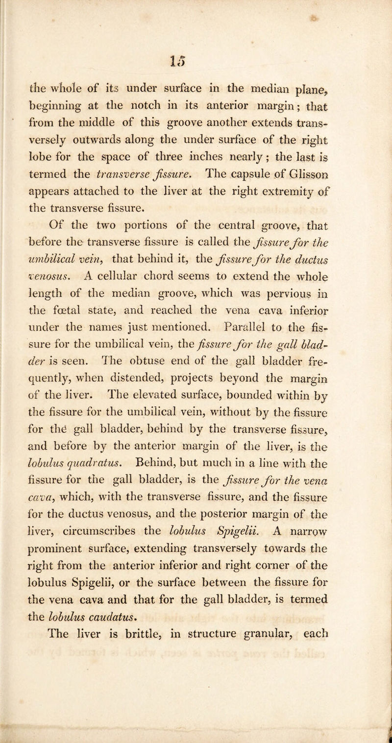 Id the whole of its under surface in the median plane, beginning at the notch in its anterior margin; that from the middle of this groove another extends trans¬ versely outwards along the under surface of the right lobe for the space of three inches nearly; the last is termed the transverse fissure. The capsule of Glisson appears attached to the liver at the right extremity of the transverse fissure. Of the two portions of the central groove, that before the transverse fissure is called the fissure for the umbilical vein, that behind it, the fissure for the ductus venosus. A cellular chord seems to extend the whole length of the median groove, which was pervious in the foetal state, and reached the vena cava inferior under the names just mentioned. Parallel to the fis¬ sure for the umbilical vein, the fissure for the gall blad¬ der is seen. The obtuse end of the gall bladder fre¬ quently, when distended, projects beyond the margin of the liver. The elevated surface, bounded within by the fissure for the umbilical vein, without by the fissure for the gall bladder, behind by the transverse fissure, and before by the anterior margin of the liver, is the lobidus quadratus. Behind, but much in a line with the fissure for the gall bladder, is the fissure for the vena cava, which, with the transverse fissure, and the fissure for the ductus venosus, and the posterior margin of the liver, circumscribes the lobulus Spigelii. A narrow prominent surface, extending transversely towards the right from the anterior inferior and right corner of the lobulus Spigelii, or the surface between the fissure for the vena cava and that for the gall bladder, is termed the lobulus caudatus. The liver is brittle, in structure granular, each