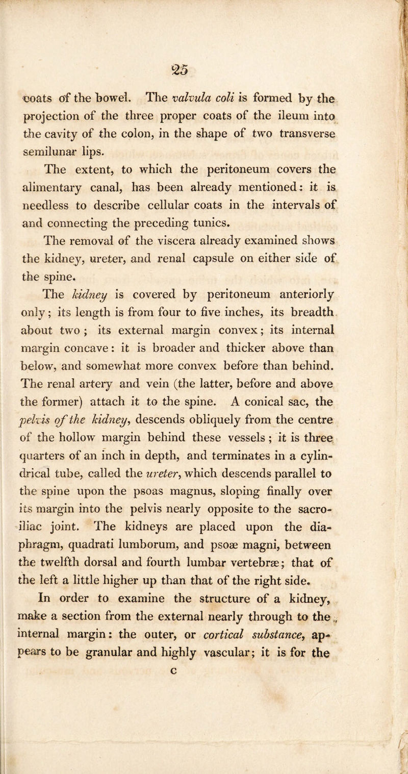 <25 coats of the bowel. The valvula coli is formed by the projection of the three proper coats of the ileum into the cavity of the colon, in the shape of two transverse semilunar lips. The extent, to which the peritoneum covers the alimentary canal, has been already mentioned : it is needless to describe cellular coats in the intervals of and connecting the preceding tunics. The removal of the viscera already examined shows the kidney, ureter, and renal capsule on either side of the spine. The kidney is covered by peritoneum anteriorly only; its length is from four to five inches, its breadth about two ; its external margin convex; its internal margin concave: it is broader and thicker above than below, and somewhat more convex before than behind. The renal artery and vein (the latter, before and above the former) attach it to the spine. A conical sac, the pelvis of the kidney, descends obliquely from the centre of the hollow margin behind these vessels; it is three quarters of an inch in depth, and terminates in a cylin¬ drical tube, called the ureter, which descends parallel to the spine upon the psoas magnus, sloping finally over its margin into the pelvis nearly opposite to the sacro¬ iliac joint. The kidneys are placed upon the dia¬ phragm, quadrati lumborum, and psoae magni, between the twelfth dorsal and fourth lumbar vertebrae; that of the left a little higher up than that of the right side. In order to examine the structure of a kidney, make a section from the external nearly through to the „ internal margin: the outer, or cortical substance, ap¬ pears to be granular and highly vascular; it is for the c