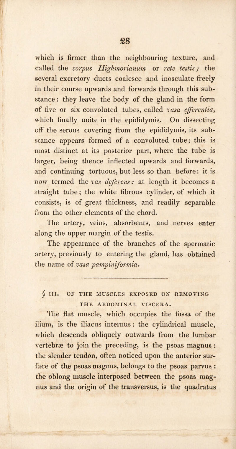 which is firmer than the neighbouring texture, and called the corpus Highmorianum or rete testis; the several excretory ducts coalesce and inosculate freely in their course upwards and forwards through this sub¬ stance : they leave the body of the gland in the form of five or six convoluted tubes, called rasa efferentia, which finally unite in the epididymis. On dissecting off the serous covering from the epididymis, its sub¬ stance appears formed of a convoluted tube; this is most distinct at its posterior part, where the tube is larger, being thence inflected upwards and forwards, and continuing tortuous, but less so than before: it is now termed the ras deferens: at length it becomes a straight tube; the white fibrous cylinder, of which it consists, is of great thickness, and readily separable from the other elements of the chord. The artery, veins, absorbents, and nerves enter along the upper margin of the testis. The appearance of the branches of the spermatic artery, previously to entering the gland, has obtained the name of rasa pampiniformia. § III. OF THE MUSCLES EXPOSED ON REMOVING THE ABDOMINAL VISCERA. The flat muscle, which occupies the fossa of the ilium, is the iliacus internus: the cylindrical muscle, which descends obliquely outwards from the lumbar vertebrae to join the preceding, is the psoas magnus : the slender tendon, often noticed upon the anterior sur¬ face of the psoas magnus, belongs to the psoas parvus : the oblong muscle interposed between the psoas mag¬ nus and the origin of the transversus, is the quadratus