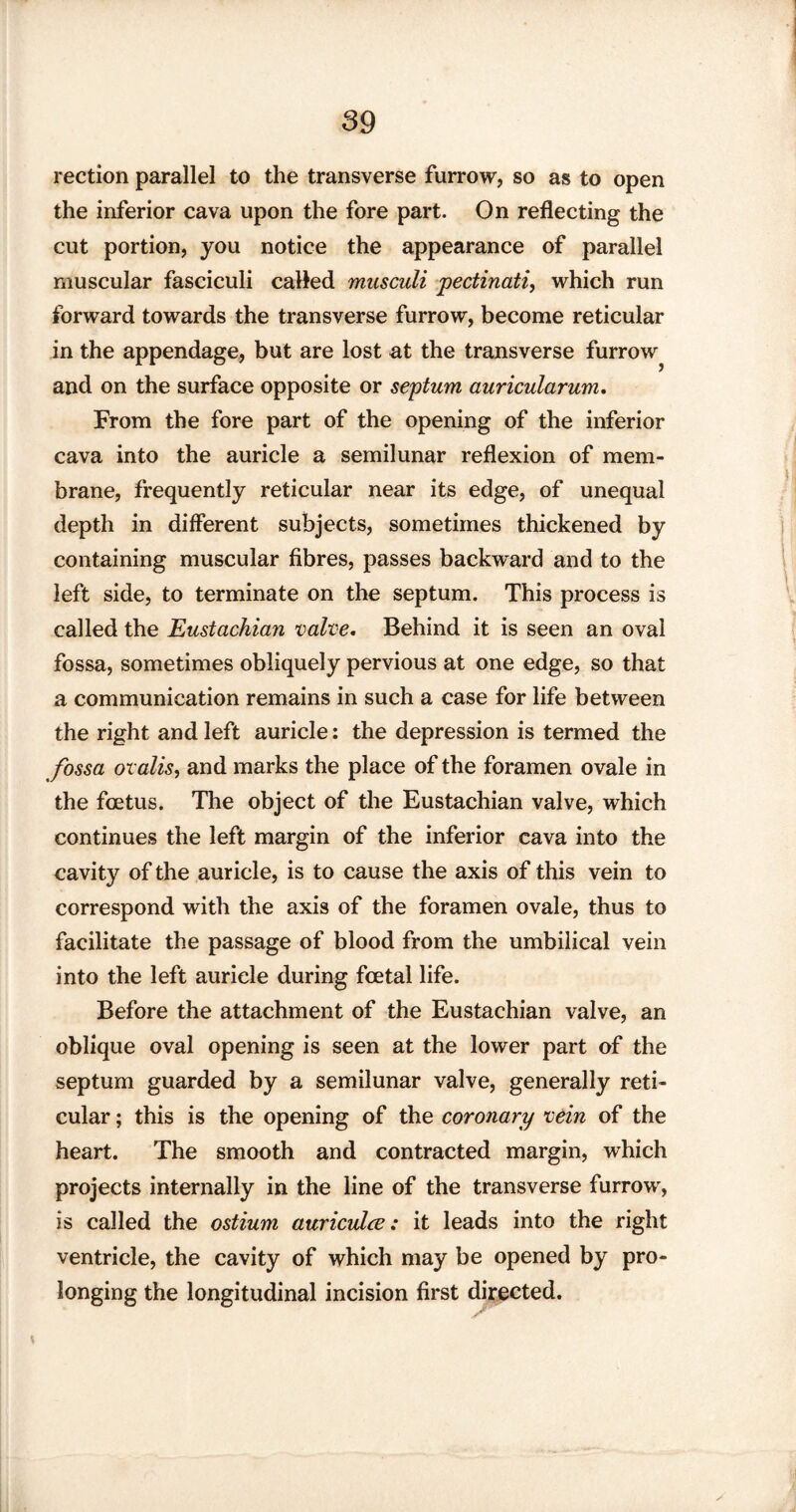rection parallel to the transverse furrow, so as to open the inferior cava upon the fore part. On reflecting the cut portion, you notice the appearance of parallel muscular fasciculi called musculi pectinati, which run forward towards the transverse furrow, become reticular in the appendage, but are lost at the transverse furrow and on the surface opposite or septum auricularum. From the fore part of the opening of the inferior cava into the auricle a semilunar reflexion of mem¬ brane, frequently reticular near its edge, of unequal depth in different subjects, sometimes thickened by containing muscular fibres, passes backward and to the left side, to terminate on the septum. This process is called the Eustachian valve. Behind it is seen an oval fossa, sometimes obliquely pervious at one edge, so that a communication remains in such a case for life between the right and left auricle: the depression is termed the fossa ovalis, and marks the place of the foramen ovale in the foetus. The object of the Eustachian valve, which continues the left margin of the inferior cava into the cavity of the auricle, is to cause the axis of this vein to correspond with the axis of the foramen ovale, thus to facilitate the passage of blood from the umbilical vein into the left auriele during foetal life. Before the attachment of the Eustachian valve, an oblique oval opening is seen at the lower part of the septum guarded by a semilunar valve, generally reti¬ cular ; this is the opening of the coronary vein of the heart. The smooth and contracted margin, which projects internally in the line of the transverse furrow, is called the ostium auriculce: it leads into the right ventricle, the cavity of which may be opened by pro¬ longing the longitudinal incision first directed.