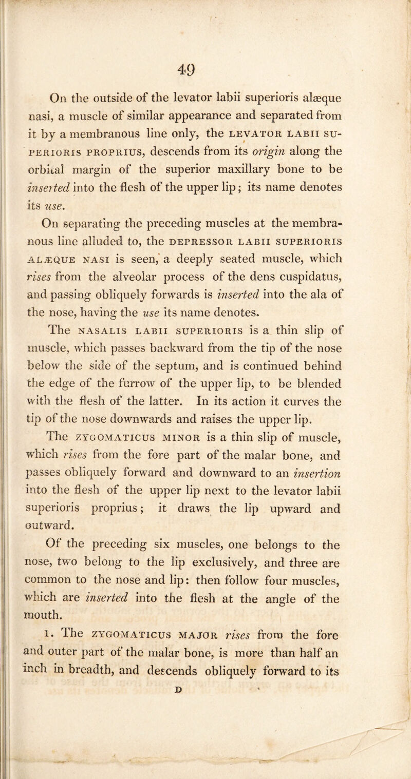 On the outside of the levator labii superioris alaeque nasi, a muscle of similar appearance and separated from it by a membranous line only, the levator labii su- perioris proprius, descends from its origin along the orbital margin of the superior maxillary bone to be inserted into the flesh of the upper lip; its name denotes its use. On separating the preceding muscles at the membra¬ nous line alluded to, the depressor labii superioris aljeque nasi is seen,' a deeply seated muscle, which rises from the alveolar process of the dens cuspidatus, and passing obliquely forwards is inserted into the ala of the nose, having the use its name denotes. The nasalis labii superioris is a thin slip of muscle, which passes backward from the tip of the nose below the side of the septum, and is continued behind the edge of the furrow of the upper lip, to be blended with the flesh of the latter. In its action it curves the tip of the nose downwards and raises the upper lip. The zygomaticus minor is a thin slip of muscle, which rises from the fore part of the malar bone, and passes obliquely forward and downward to an insertion into the flesh of the upper lip next to the levator labii superioris proprius; it draws the lip upward and outward. Of the preceding six muscles, one belongs to the nose, two belong to the lip exclusively, and three are common to the nose and lip: then follow four muscles, which are inserted into the flesh at the angle of the mouth. i. The zygomaticus major rises from the fore and outer part of the malar bone, is more than half an inch in breadth, and descends obliquely forward to its D