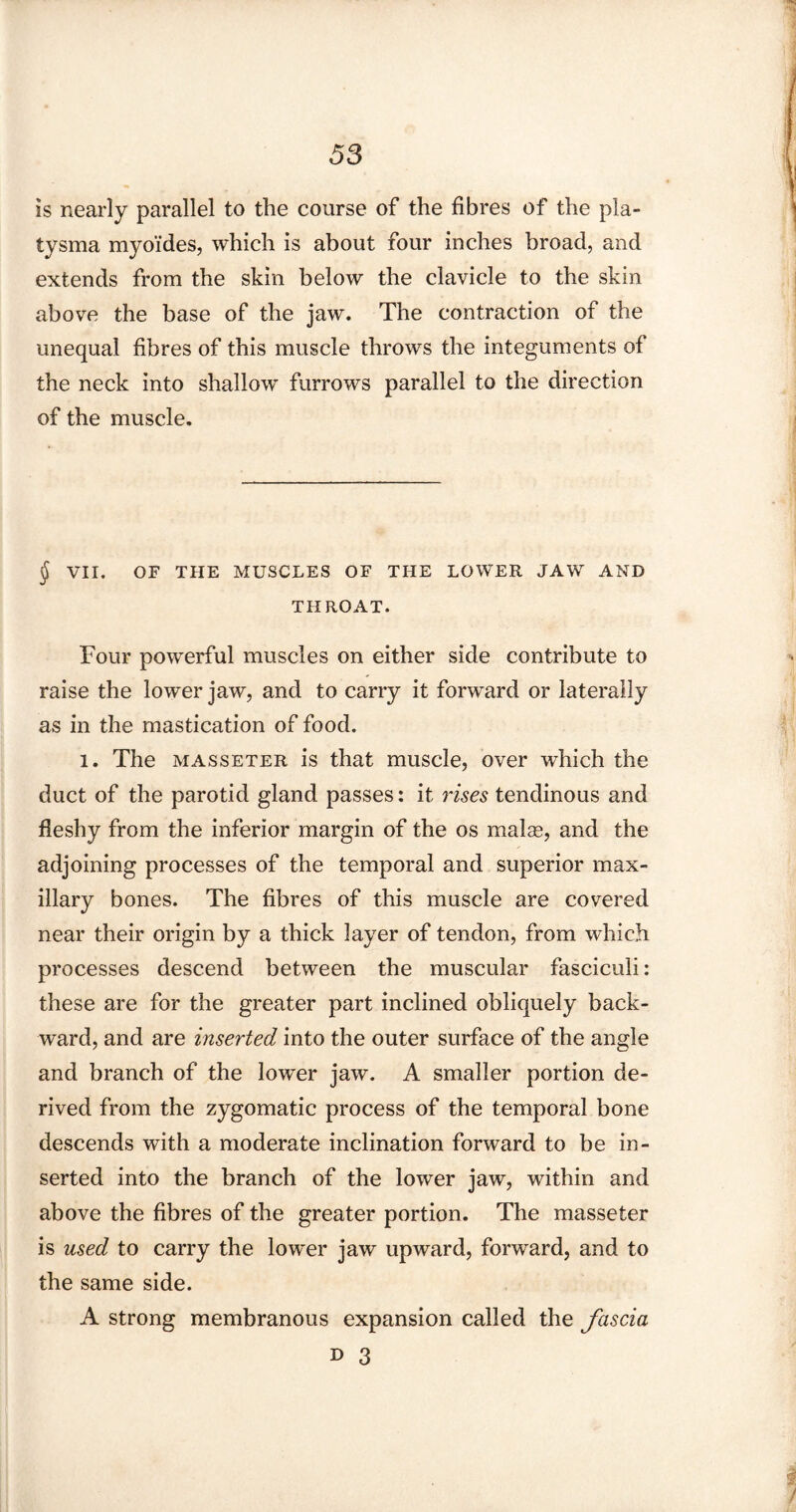 is nearly parallel to the course of the fibres of the pla- tysma myo'ides, which is about four inches broad, and extends from the skin below the clavicle to the skin above the base of the jaw. The contraction of the unequal fibres of this muscle throws the integuments of the neck into shallow furrows parallel to the direction of the muscle. $ VII. OF THE MUSCLES OF THE LOWER JAW AND THROAT. Four powerful muscles on either side contribute to raise the lower jaw, and to carry it forward or laterally as in the mastication of food. 1. The masseter is that muscle, over which the duct of the parotid gland passes: it rises tendinous and fleshy from the inferior margin of the os malas, and the adjoining processes of the temporal and superior max¬ illary bones. The fibres of this muscle are covered near their origin by a thick layer of tendon, from which processes descend between the muscular fasciculi: these are for the greater part inclined obliquely back¬ ward, and are inserted into the outer surface of the angle and branch of the lower jaw. A smaller portion de¬ rived from the zygomatic process of the temporal bone descends with a moderate inclination forward to be in¬ serted into the branch of the lower jaw, within and above the fibres of the greater portion. The masseter is used to carry the lower jaw upward, forward, and to the same side. A strong membranous expansion called the fascia