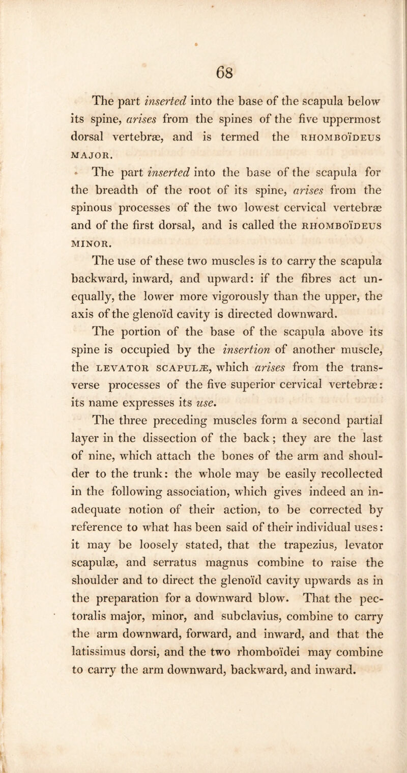 » The part inserted into the base of the scapula below its spine, arises from the spines of the five uppermost dorsal vertebrae, and is termed the rhomboideus major. * The part inserted into the base of the scapula for the breadth of the root of its spine, arises from the spinous processes of the two lowest cervical vertebrae and of the first dorsal, and is called the rhomboideus minor. The use of these two muscles is to carry the scapula backward, inward, and upward: if the fibres act un¬ equally, the lower more vigorously than the upper, the axis of the glenoid cavity is directed downward. The portion of the base of the scapula above its spine is occupied by the insertion of another muscle, the levator scapulae, which arises from the trans¬ verse processes of the five superior cervical vertebrae: its name expresses its use. The three preceding muscles form a second partial layer in the dissection of the back; they are the last of nine, wrhich attach the bones of the arm and shoul¬ der to the trunk: the whole may be easily recollected in the following association, which gives indeed an in¬ adequate notion of their action, to be corrected by reference to what has been said of their individual uses: it may be loosely stated, that the trapezius, levator scapulae, and serratus magnus combine to raise the shoulder and to direct the glenoid cavity upwards as in the preparation for a downward blow. That the pec- toralis major, minor, and subclavius, combine to carry the arm downward, forward, and inward, and that the latissimus dorsi, and the two rhomboi'dei may combine to carry the arm downward, backward, and inward.