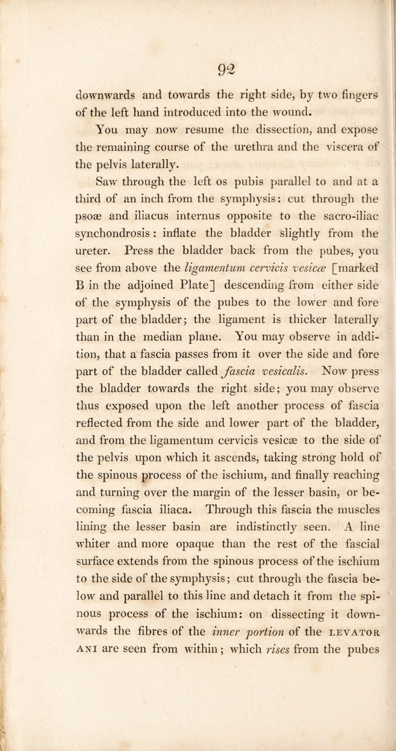 9°2 downwards and towards the right side, by two fingers of the left hand introduced into the wound. You may now resume the dissection, and expose the remaining course of the urethra and the viscera of the pelvis laterally. Saw through the left os pubis parallel to and at a third of an inch from the symphysis: cut through the psoae and iliacus internus opposite to the sacro-iliac synchondrosis: inflate the bladder slightly from the ureter. Press the bladder back from the pubes, you see from above the ligamentum, cervicis vesicce [marked B in the adjoined Plate] descending from either side of the symphysis of the pubes to the lower and fore part of the bladder; the ligament is thicker laterally than in the median plane. You may observe in addi¬ tion, that a fascia passes from it over the side and fore part of the bladder called fascia vesicalis. Now press the bladder towards the right side; you may observe thus exposed upon the left another process of fascia reflected from the side and lower part of the bladder, and from the ligamentum cervicis vesicas to the side of the pelvis upon which it ascends, taking strong hold of the spinous process of the ischium, and finally reaching and turning over the margin of the lesser basin, or be¬ coming fascia iliaca. Through this fascia the muscles lining the lesser basin are indistinctly seen. A line whiter and more opaque than the rest of the fascial surface extends from the spinous process of the ischium to the side of the symphysis; cut through the fascia be¬ low and parallel to this line and detach it from the spi¬ nous process of the ischium: on dissecting it down¬ wards the fibres of the inner portion of the levator ani are seen from within; which rises from the pubes