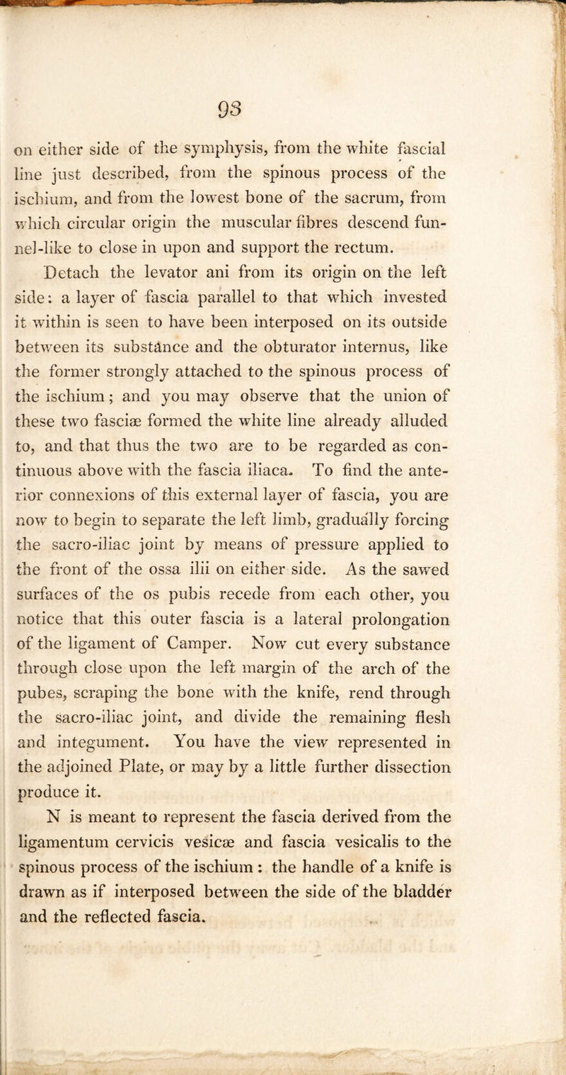 on either side of the symphysis, from the white fascial line just described, from the spinous process of the ischium, and from the lowest bone of the sacrum, from which circular origin the muscular fibres descend fun¬ nel-like to close in upon and support the rectum. Detach the levator ani from its origin on the left side: a layer of fascia parallel to that which invested it within is seen to have been interposed on its outside between its substance and the obturator internus, like the former strongly attached to the spinous process of the ischium; and you may observe that the union of these two fasciae formed the white line already alluded to, and that thus the two are to be regarded as con¬ tinuous above with the fascia iliaca. To find the ante¬ rior connexions of this external layer of fascia, you are now to begin to separate the left limb, gradually forcing the sacro-iliac joint by means of pressure applied to the front of the ossa ilii on either side. As the sawed surfaces of the os pubis recede from each other, you notice that this outer fascia is a lateral prolongation of the ligament of Camper. Nowr cut every substance through close upon the left margin of the arch of the pubes, scraping the bone with the knife, rend through the sacro-iliac joint, and divide the remaining flesh and integument. You have the view' represented in the adjoined Plate, or may by a little further dissection produce it. N is meant to represent the fascia derived from the ligamentum cervicis vesicse and fascia vesicalis to the spinous process of the ischium : the handle of a knife is drawn as if interposed between the side of the bladder and the reflected fascia.