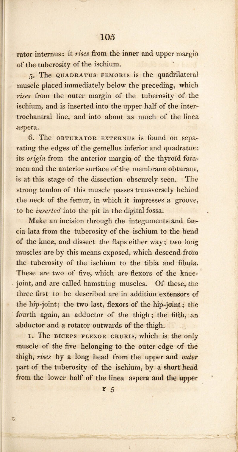 rator internus: it rises from the inner and upper margin of the tuberosity of the ischium. 5. The quadratus femoris is the quadrilateral muscle placed immediately below the preceding, which rises from the outer margin of the tuberosity of the ischium, and is inserted into the upper half of the inter- trochantral line, and into about as much of the limea asp era. 6. The obturator externus is found on sepa¬ rating the edges of the gemellus inferior and quadratus: its origin from the anterior margin of the thyroid fora¬ men and the anterior surface of the membrana obturams, is at this stage of the dissection obscurely seen. The strong tendon of this muscle passes transversely behind the neck of the femur, in which it impresses a groove, to be inserted into the pit in the digital fossa. Make an incision through the integuments and fas¬ cia lata from the tuberosity of the ischium to the bend of the knee, and dissect the flaps either way; two long muscles are by this means exposed, which descend from the tuberosity of the ischium to the tibia and fibula. These are two of five, which are flexors of the knee- joint, and are called hamstring muscles. Of these, the three first to be described are in addition extensors of the hip-joint; the two last, flexors of the hip-joint; the fourth again, an adductor of the thigh; the fifth, an abductor and a rotator outwards of the thigh. 1. The biceps flexor cruris, which is the only muscle of the five helonging to the outer edge of the thigh, rises by a long head from the upper and outer part of the tuberosity of the ischium, by a short head from the lower half of the linea aspera and the upper r 5