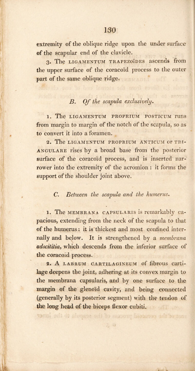 extremity of tlie oblique ridge upon the under surface of the scapular end of the clavicle. 3. The ligamentum trapezoides ascends from the upper surface of the coracoid process to the outer part of the same oblique ridge. B. Of the scapula exclusively. 1. The LIGAMENTUM PROPRIUM POSTICUM runs from margin to margin of the notch of the scapula, so as to convert it into a foramen. 2. The LIGAMENTUM PROPRIUM ANTICUM Or TRI- angulare rises by a broad base from the posterior surface of the coracoid process, and is inserted nar¬ rower into the extremity of the acromion : it forms the support of the shoulder joint above. . C. Betvoeen the scapula and the humerus. !■ 1. The membrana capsularis is remarkably ca¬ pacious, extending from the neck of the scapula to that of the humerus: it is thickest and most confined inter¬ nally and below. It is strengthened by a memhrana adscititia, which descends from the inferior surface of the coracoid process. 2. A lab rum cartilagineum of fibrous carti¬ lage deepens the joint, adhering at its convex margin to the membrana capsularis, and by one surface to the margin of the glenoid cavity, and being connected (generally by its posterior segment) with the tendon of the long head of the biceps flexor cubiti.