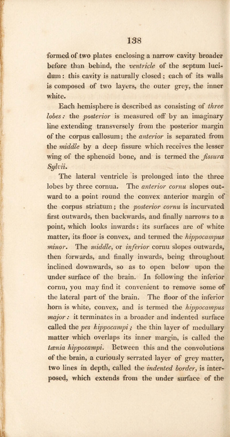 formed of two plates enclosing a narrow cavity broader before than behind, the ventricle of the septum luci- dum : this cavity is naturally closed ; each of its walls is composed of two layers, the outer grey, the inner white. Each hemisphere is described as consisting of three lobes: the posterior is measured off by an imaginary line extending transversely from the posterior margin of the corpus callosum; the anterior is separated from the middle by a deep fissure which receives the lesser wing of the sphenoid bone, and is termed the jissura Sylvii. The lateral ventricle is prolonged into the three lobes by three cornua. The anterior cornu slopes out¬ ward to a point round the convex anterior margin of the corpus striatum; the posterior cornu is incurvated first outwards, then backwards, and finally narrows to a point, which looks inwards: its surfaces are of white matter, its floor is convex, and termed the hippocampus minor. The middle, or inferior cornu slopes outwards, then forwards, and finally inwards, being throughout inclined downwards, so as to open below upon the under surface of the brain. In following the inferior cornu, you may find it convenient to remove some of the lateral part of the brain. The floor of the inferior horn is white, convex, and is termed the hippocampus major: it terminates in a broader and indented surface called the pes hippocampi; the thin layer of medullary matter which overlaps its inner margin, is called the tcenia hippocampi. Between this and the convolutions of the brain, a curiously serrated layer of grey matter, two lines in depth, called the indented border, is inter¬ posed, which extends from the under surface of the