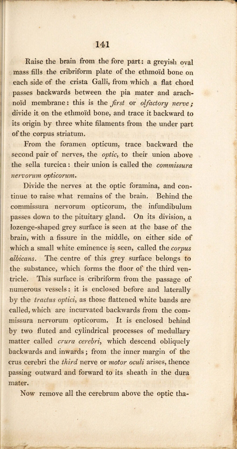 Raise the brain from the fore part: a greyish oval mass fills the cribriform plate of the ethmoid bone on each side of the crista Galli, from which a flat chord passes backwards between the pia mater and arach¬ noid membrane: this is the first or olfactory nerve; divide it on the ethmoid bone, and trace it backward to its origin by three white filaments from the under part of the corpus striatum. From the foramen opticum, trace backward the second pair of nerves, the optic, to their union above the sella turcica: their union is called the commissura nervorum opticorum. Divide the nerves at the optic foramina, and con¬ tinue to raise what remains of the brain. Behind the commissura nervorum opticorum, the infundibulum passes down to the pituitary gland. On its division, a lozenge-shaped grey surface is seen at the base of the brain, with a fissure in the middle, on either side of which a small white eminence is seen, called the corpus albicans. The centre of this grey surface belongs to the substance, which forms the floor of the third ven¬ tricle. This surface is cribriform from the passage of numerous vessels: it is enclosed before and laterally by the tractus optici, as those flattened white bands are called, which are incurvated backwards from the com¬ missura nervorum opticorum. It is enclosed behind by two fluted and cylindrical processes of medullary matter called crura cerebri, which descend obliquely backwards and inwards; from the inner margin of the crus cerebri the third, nerve or motor oculi arises, thence passing outward and forward to its sheath in the dura mater. Now remove all the cerebrum above the optic tha-