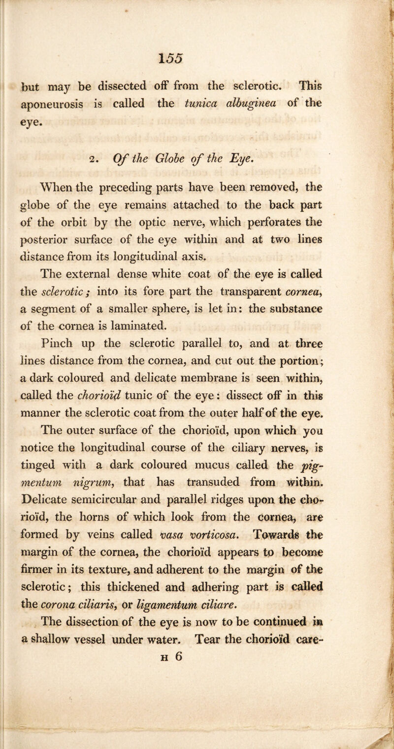 but may be dissected off from the sclerotic. This aponeurosis is called the tunica albuginea of the eye. 2. Of the Globe of the Eye. When the preceding parts have been removed, the globe of the eye remains attached to the back part of the orbit by the optic nerve, which perforates the posterior surface of the eye within and at two lines distance from its longitudinal axis. The external dense white coat of the eye is called the sclerotic; into its fore part the transparent cornea, a segment of a smaller sphere, is let in: the substance of the cornea is laminated. Pinch up the sclerotic parallel to, and at three lines distance from the cornea, and cut out the portion; a dark coloured and delicate membrane is seen within, called the chorioid tunic of the eye: dissect off in this manner the sclerotic coat from the outer half of the eye. The outer surface of the chorioid, upon which you notice the longitudinal course of the ciliary nerves, is tinged with a dark coloured mucus called the pig- mentum nigrum, that has transuded from within. Delicate semicircular and parallel ridges upon the cho¬ rioid, the horns of which look from the cornea, are formed by veins called vasa vorticosa. Towards the margin of the cornea, the chorioid appears to become firmer in its texture, and adherent to the margin of the sclerotic; this thickened and adhering part is called the corona ciliaris, or ligamentum ciliare. The dissection of the eye is now to be continued in a shallow vessel under water. Tear the chorioid care-