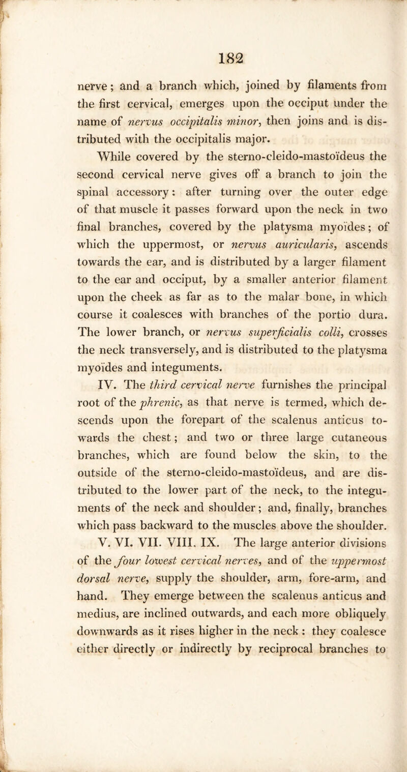 nerve; and a branch which, joined by filaments from the first cervical, emerges upon the occiput under the name of nervus occipitalis minor, then joins and is dis¬ tributed with the occipitalis major. While covered by the sterno-cleido-mastoi'deus the second cervical nerve gives off a branch to join the spinal accessory: after turning over the outer edge of that muscle it passes forward upon the neck in two final branches, covered by the platysma myoides; of which the uppermost, or nervus auricularis, ascends towards the ear, and is distributed by a larger filament to the ear and occiput, by a smaller anterior filament upon the cheek as far as to the malar bone, in which course it coalesces with branches of the portio dura. The lower branch, or nervus superfcialis colli, crosses the neck transversely, and is distributed to the plat}^sma myoides and integuments. IV. The third cervical nerve furnishes the principal root of the phrenic, as that nerve is termed, which de¬ scends upon the forepart of the scalenus anticus to¬ wards the chest; and two or three large cutaneous branches, which are found below the skin, to the outside of the sterno-cleido-mastoideus, and are dis¬ tributed to the low'er part of the neck, to the integu¬ ments of the neck and shoulder; and, finally, branches which pass backward to the muscles above the shoulder. V. VI. VII. VIII. IX. The large anterior divisions of the four lowest cervical nerves, and of the uppermost dorsal nerve, supply the shoulder, arm, fore-arm, and hand. They emerge between the scalenus anticus and medius, are inclined outwards, and each more obliquely downwards as it rises higher in the neck : they coalesce either directly or indirectly by reciprocal branches to