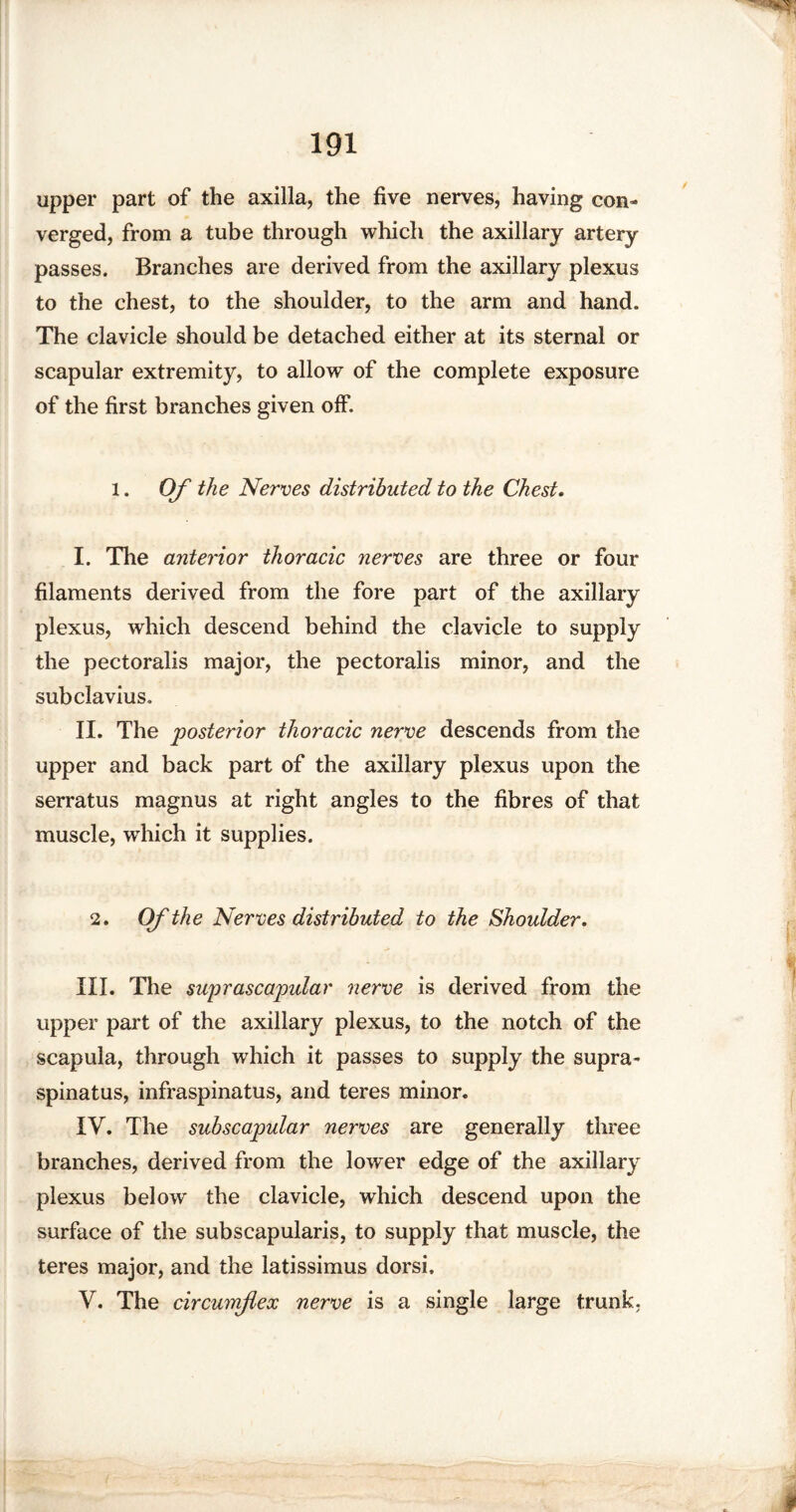 upper part of the axilla, the five nerves, having con¬ verged, from a tube through which the axillary artery passes. Branches are derived from the axillary plexus to the chest, to the shoulder, to the arm and hand. The clavicle should be detached either at its sternal or scapular extremity, to allow of the complete exposure of the first branches given off. l. Of the Nerves distributed to the Chest. I. The anterior thoracic nerves are three or four filaments derived from the fore part of the axillary plexus, which descend behind the clavicle to supply the pectoralis major, the pectoralis minor, and the subclavius. II. The posterior thoracic nerve descends from the upper and back part of the axillary plexus upon the serratus magnus at right angles to the fibres of that muscle, wdiich it supplies. 2. Of the Nerves distributed to the Shoulder. III. The suprascapular nerve is derived from the upper part of the axillary plexus, to the notch of the scapula, through which it passes to supply the supra- spinatus, infraspinatus, and teres minor. IV. The sub scapular nerves are generally three branches, derived from the lower edge of the axillary plexus below the clavicle, which descend upon the surface of the subscapularis, to supply that muscle, the teres major, and the latissimus dorsi, V. The circumflex nerve is a single large trunk,